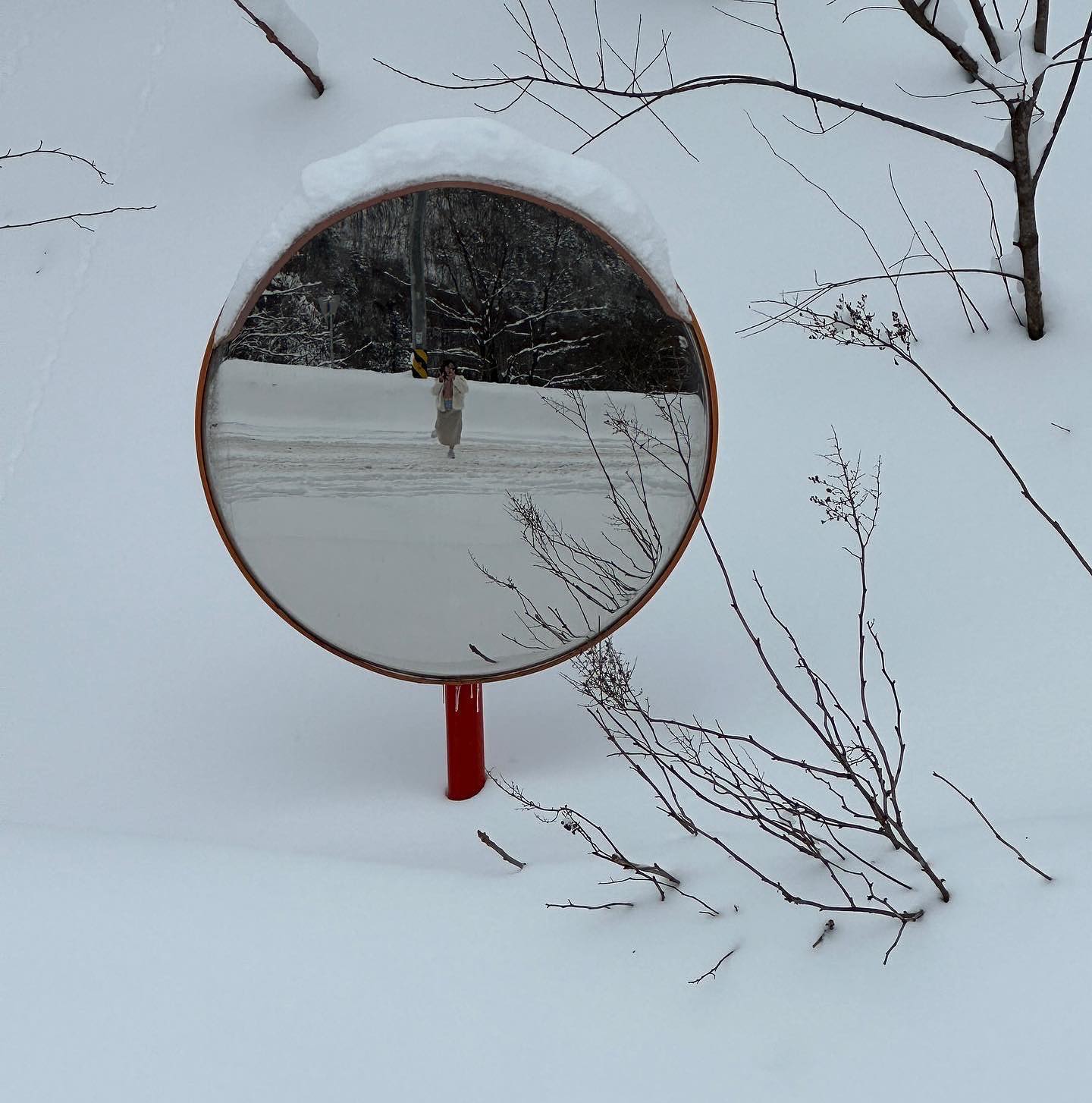 240224 한달 늦은 뒷북👀

봄이 되기 전 실컷 보고 온 눈❄️
눈오리 없어서 속상하지만,,, 아빠가 만들어줬다🐤
눈 좋아🫶🏻

#강원도여행