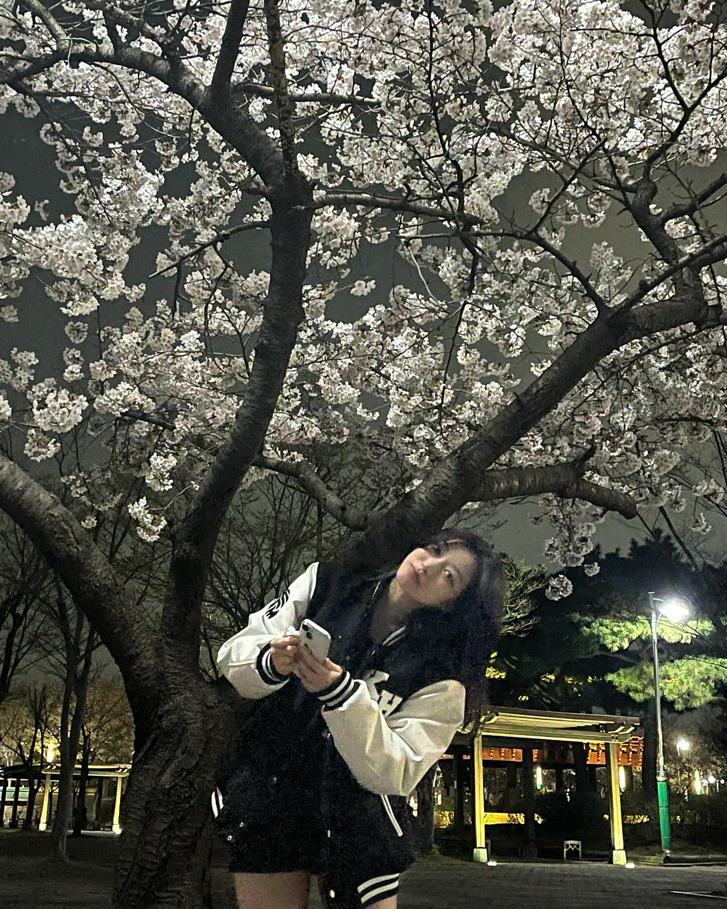 🌸💗
#만석공원 #벚꽃명소 #봄