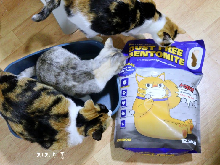 고양이모래 페스룸 더스트 프리 벤토 12.6kg 사막화방지모래