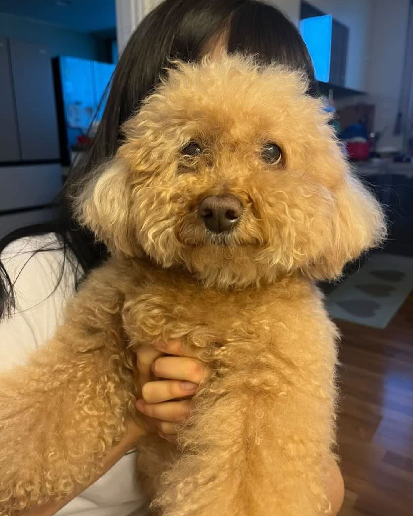 털 찐 장곰돌 🧸
보들보들 꼬질꼬질 〰
#장토리 #바야바 #꼬질꼬질 #곰돌이아님