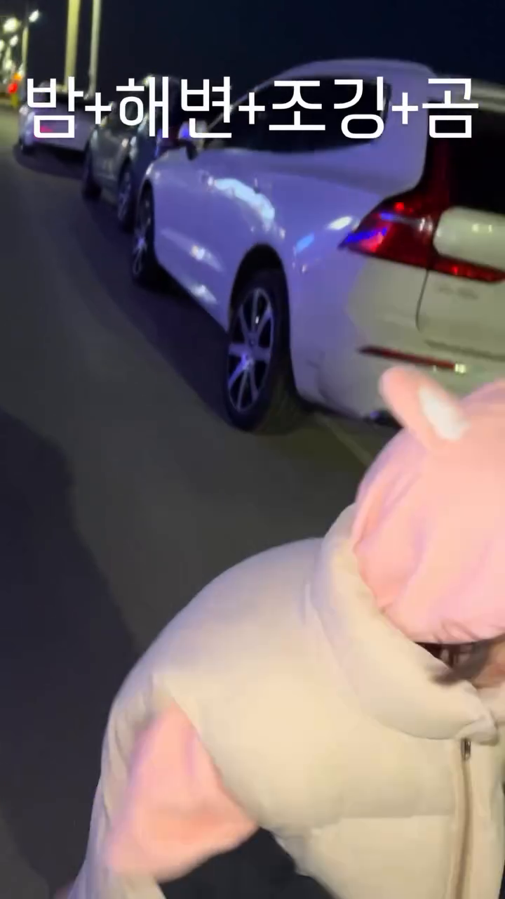사천해변 아가 곰 출몰 주의🐻‍❄️🤍