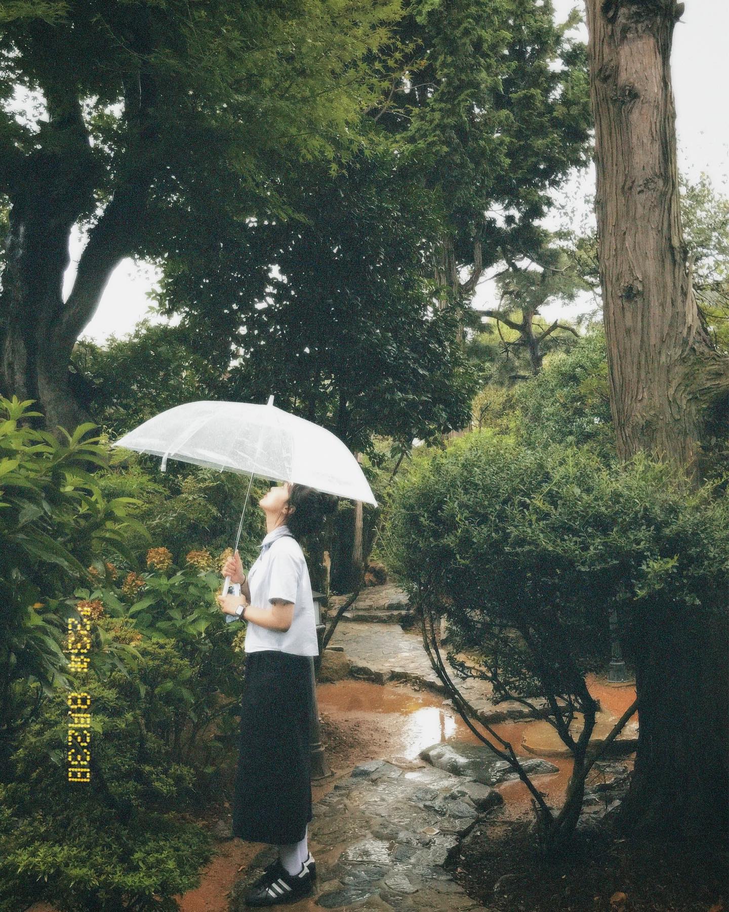 콘텐츠