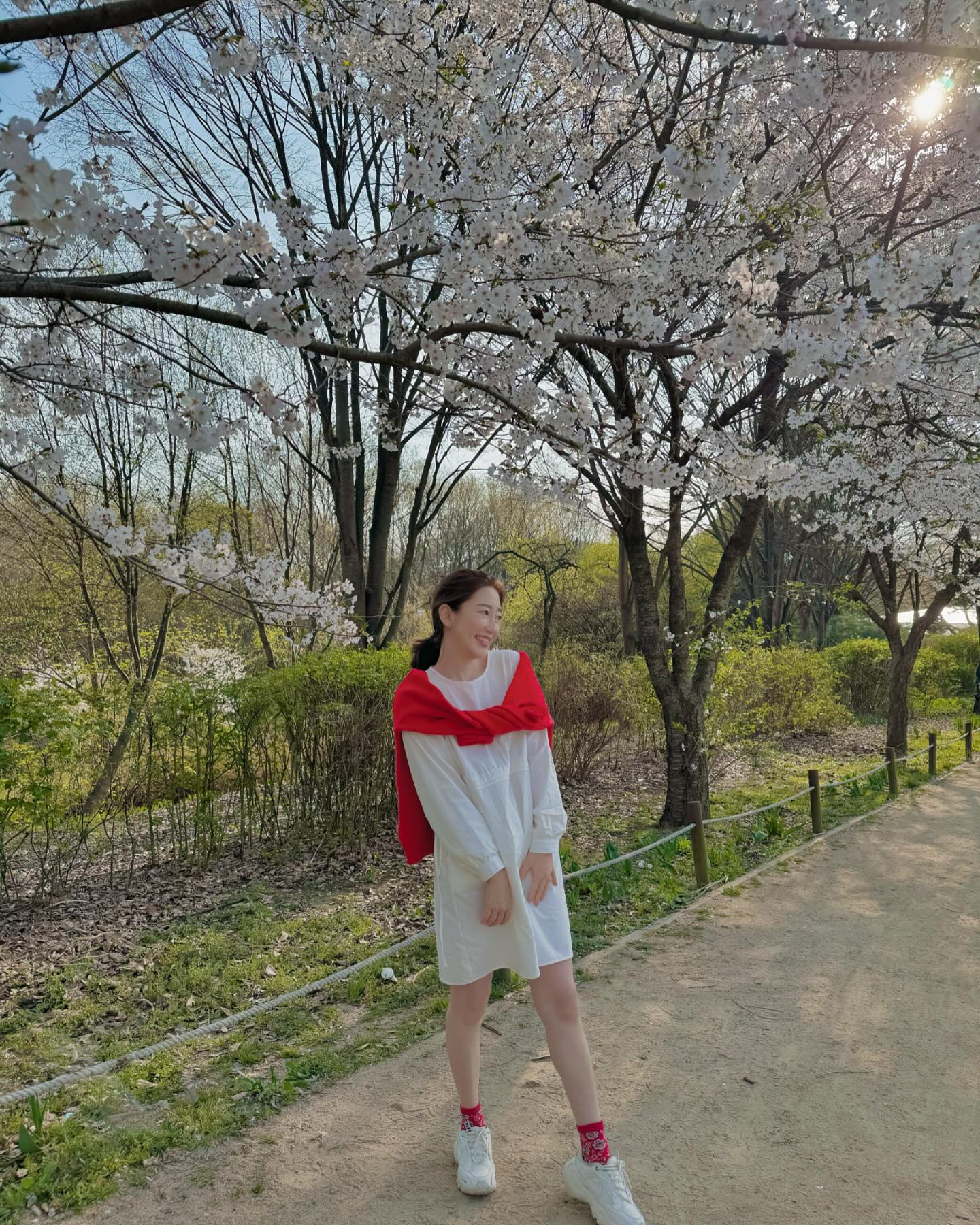 봄 벚꽃뿌리기 끝🌸🌸🌸🌸