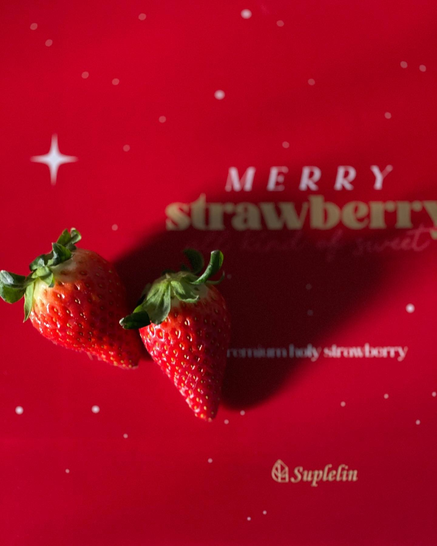 1.새해딸기선물🍓연서입에다들어간.나도어쩔수없는엄마
2.매년새해엔.서로에게편지쓰는이벤트로시작.남편이비록악필일지라도ㅋㅋ마음잘전달받음
3.언니눈꺼풀에아이새도발라주다.문득떠오른너.🐸
4.펭귄귄.얼음위를달려보자
5.조개는역시번거롭다는걸다시한번깨달으며.몽땅투하
6.이중에제일은핑크백
8,9,10.잘먹기