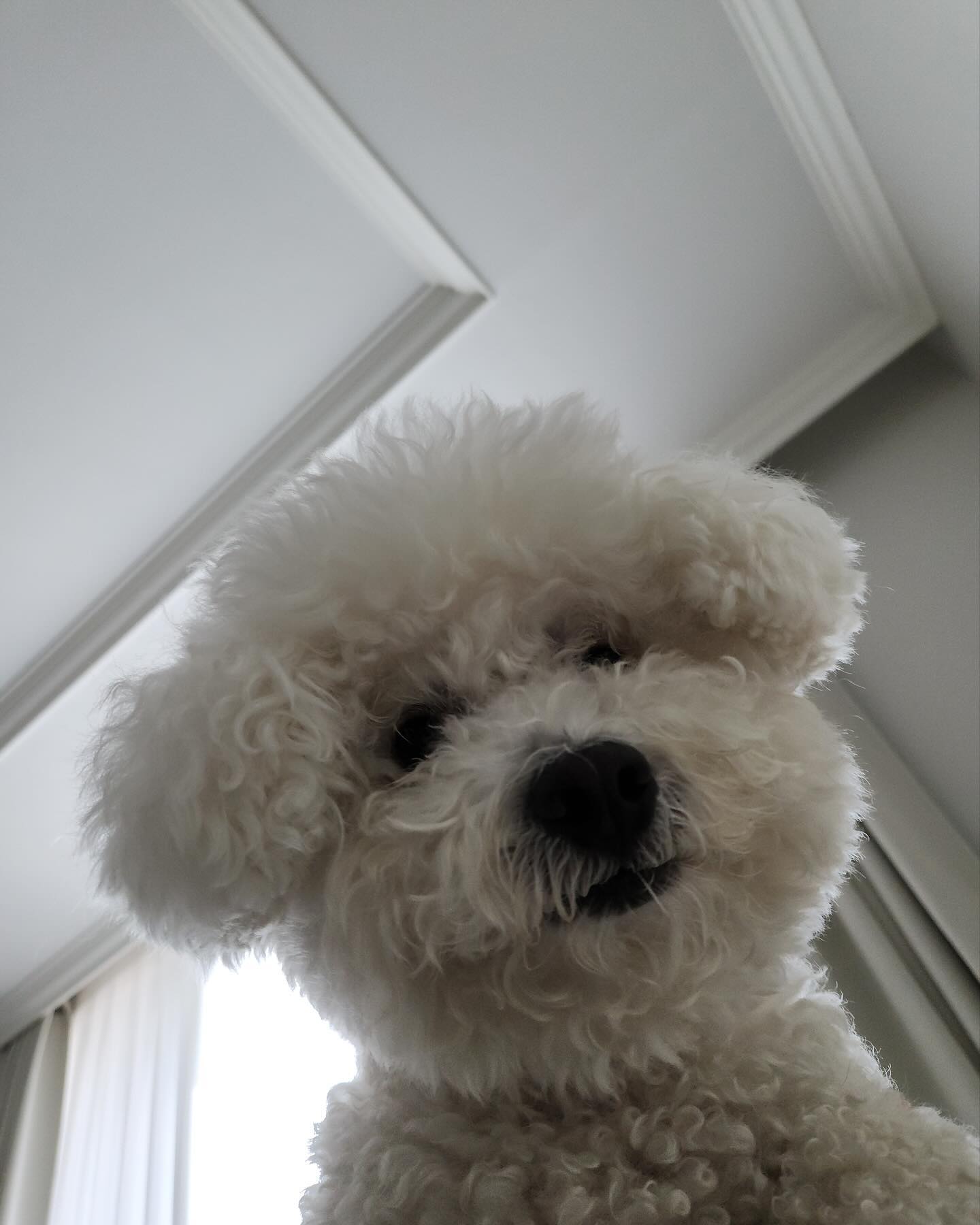 밥내나 밥!!!