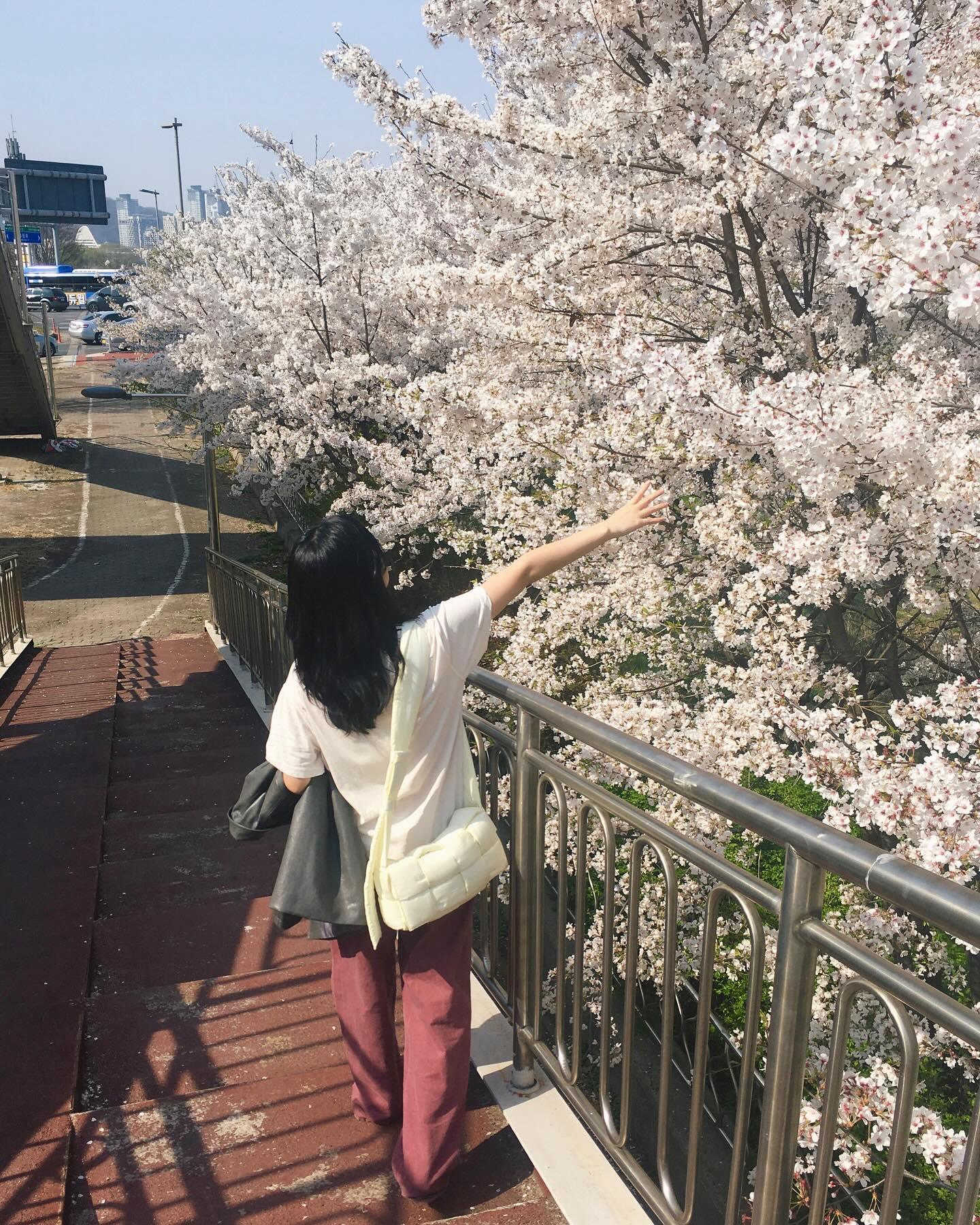 🌸