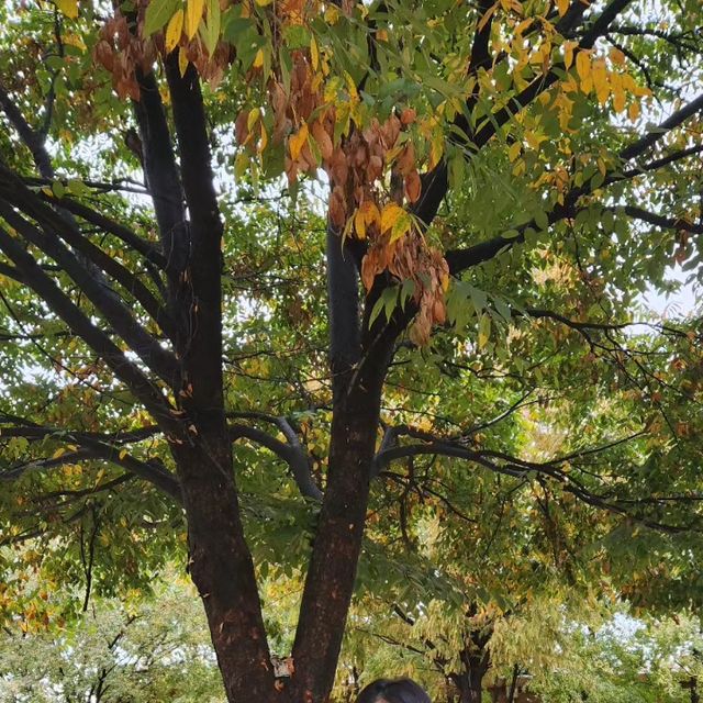 Lee Jenny | 이제니 on Instagram: "#광고#비바브라운#비바브라운자켓 Fall is coming 🙌 가을이 왔네용 🍂 가을에 맞춰서 옷도 바꿔야죠 쌀쌀한 날씨에 가볍고 캐주얼한 외투 보여드려용 🍂소재폴리