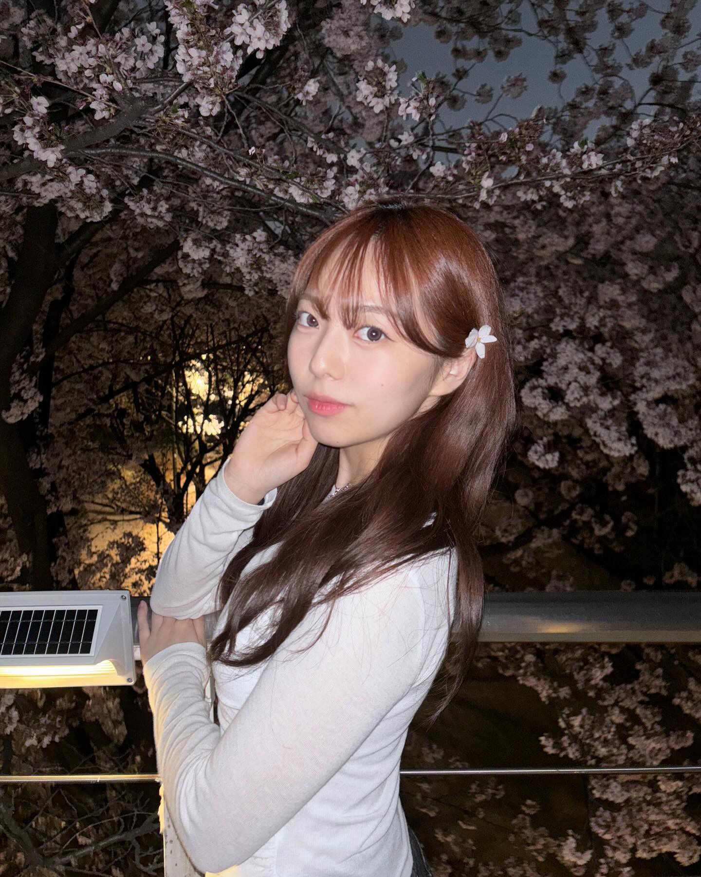 봄밤