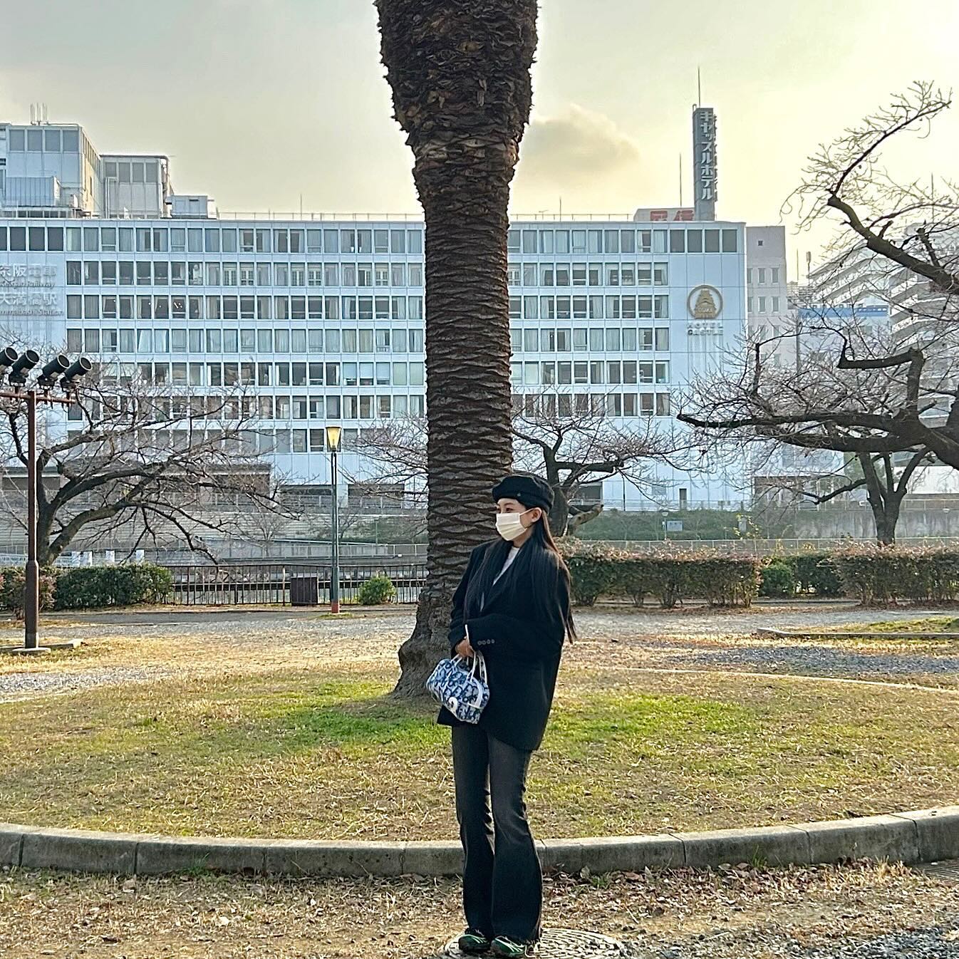 일본 비둘기가 위로 지나가고 있어요..🕊️