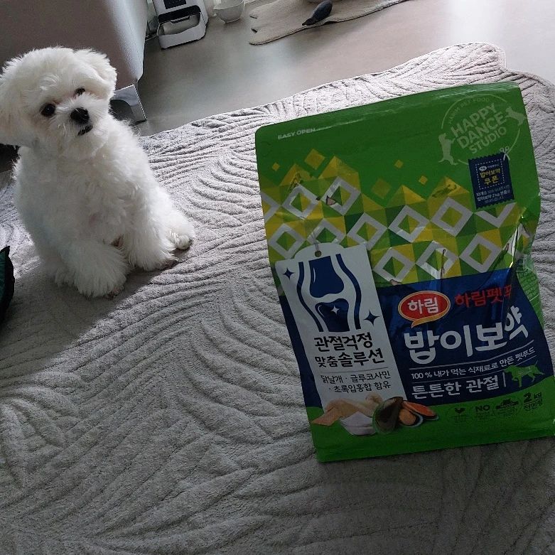 #뭉치 밥은? #밥이보약 #하림펫푸드
자기 밥인 줄 아는건가? 
ㅎㅎ

#강아지사료 #송도강아지 24시무인 #애견용품점 #도그마캣송도캠퍼스타운점 #도그스타그램 #펫스타그램 #도그마켓 #도그마캣 #송도맘 #송도애견 #인천송도 #송도댕댕이 #멍멍이그램 #송도 #펫푸드 #강아지 #일상 #송도국제도시 #송도캠퍼스타운점 #애완용품점