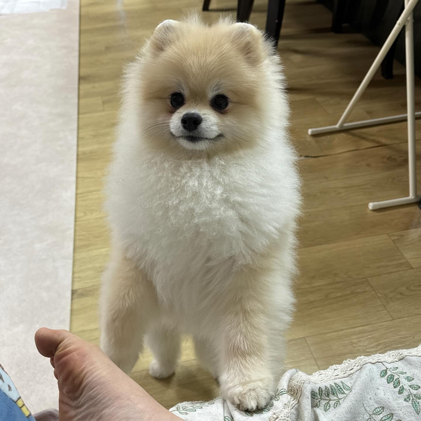 든-든💓💓💓💓
간식을 향한 저 눈빛 ,,🥹