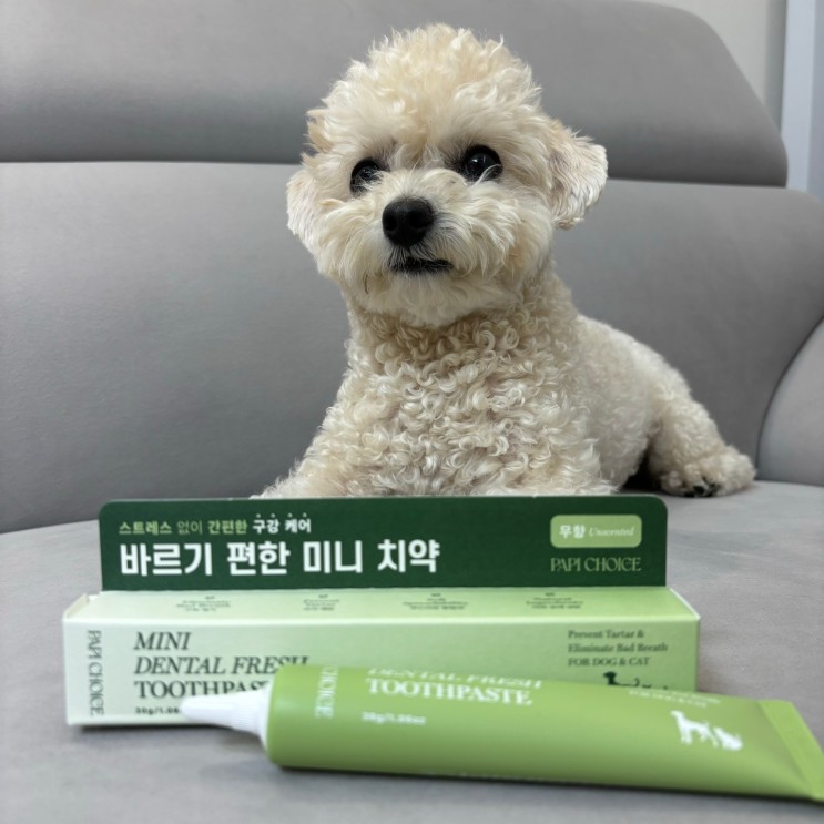 강아지 치석관리 온리버디 미니 덴탈 프레쉬 치약