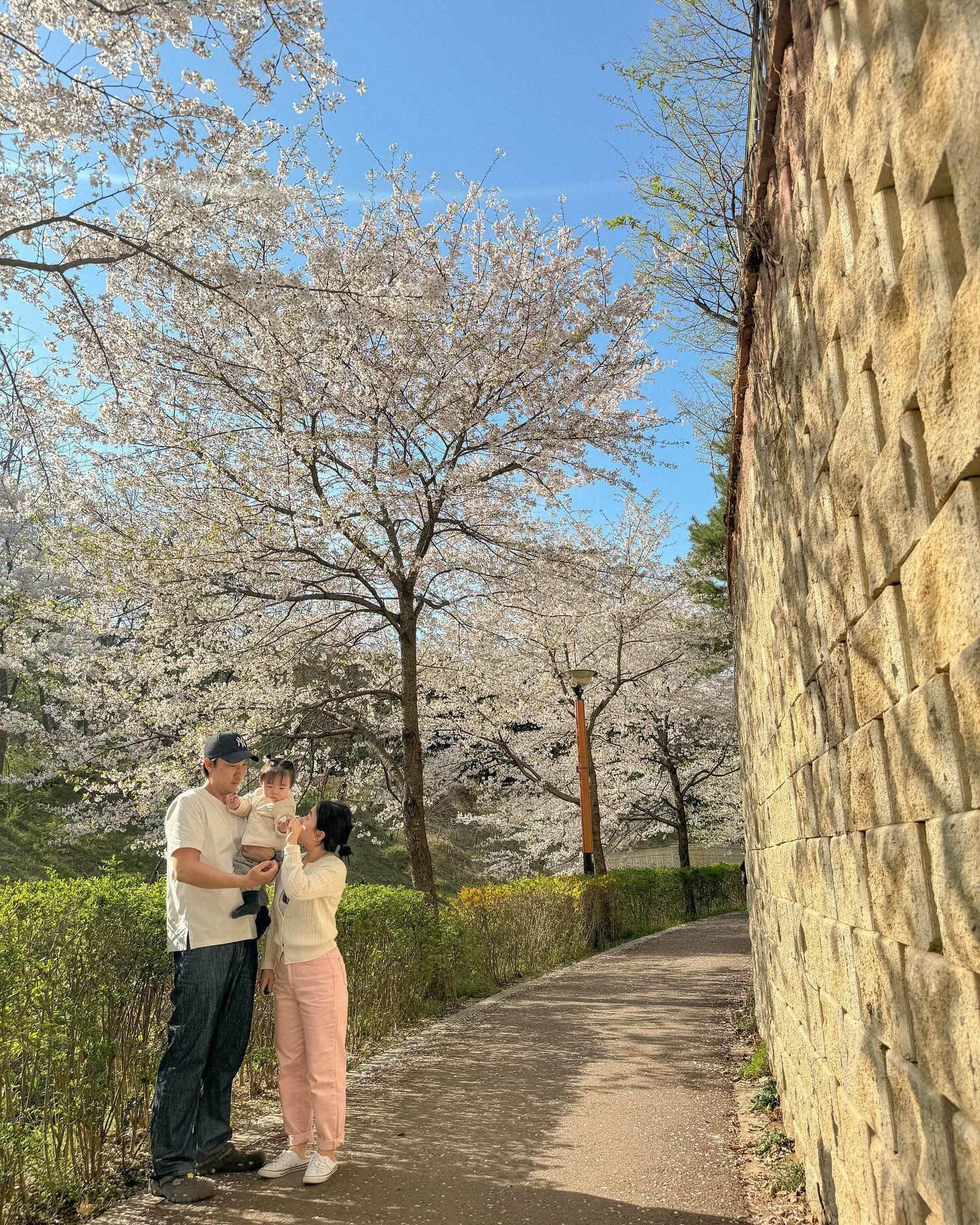 뉴뉴네도 꽃구경(?)하러 집앞에 다녀왔어요
기침콧물과 찾아온 중이염으로 
조용히 다녀왔어요 :) 

요즘 답방도 잘 못가는 중이라 업로드도 늦고 ㅠ
돌준맘이라 이것저것 준비하고
유아식에대한 고민부터 육아의세계에서
살아남는중이랍니다 😇

엄마아빠는 살부터 빼야하는데
오늘저녁까지만 먹어볼께요....💗