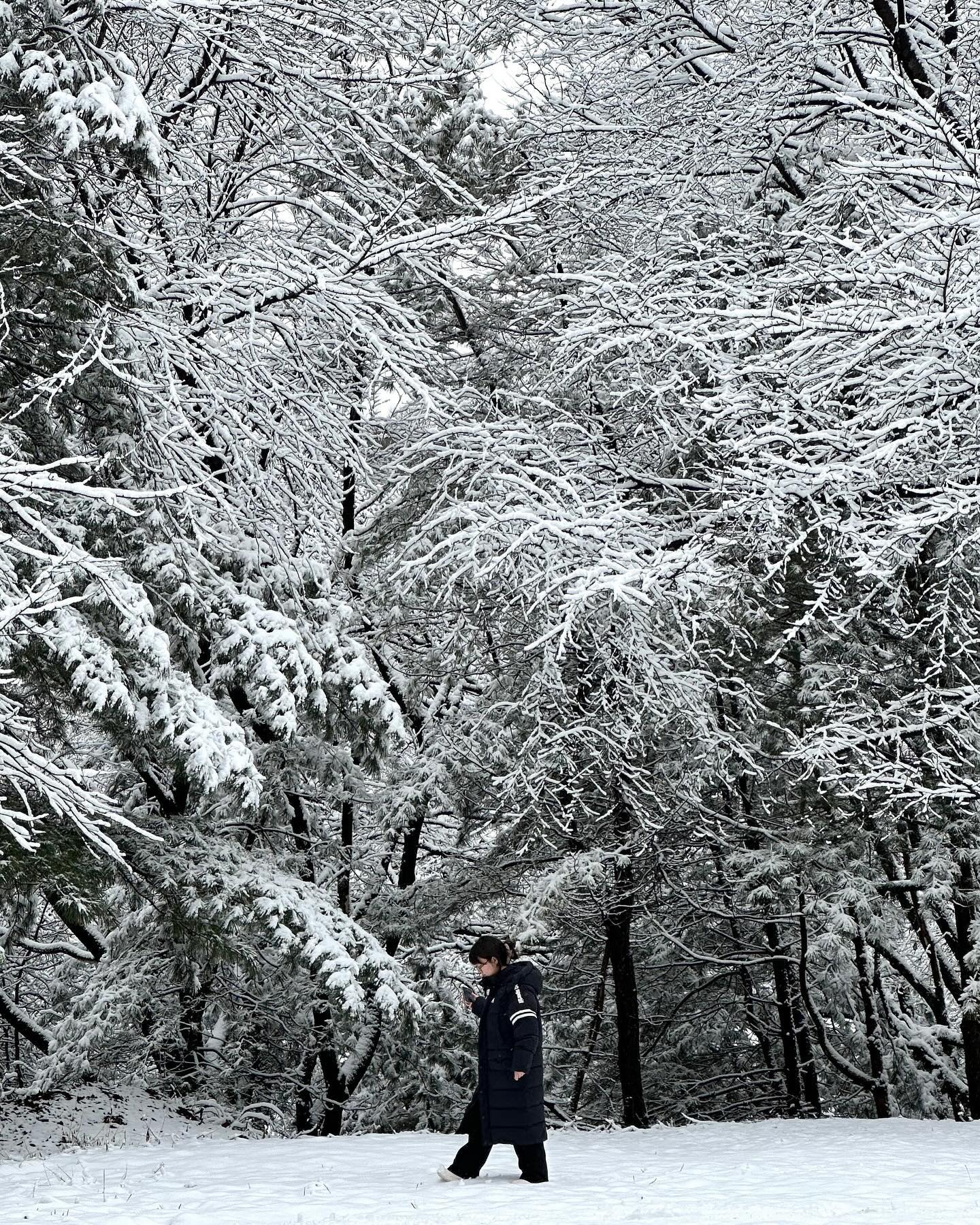 겨울왕국아니고 겨울학교 ε-(´∀｀; )

#눈