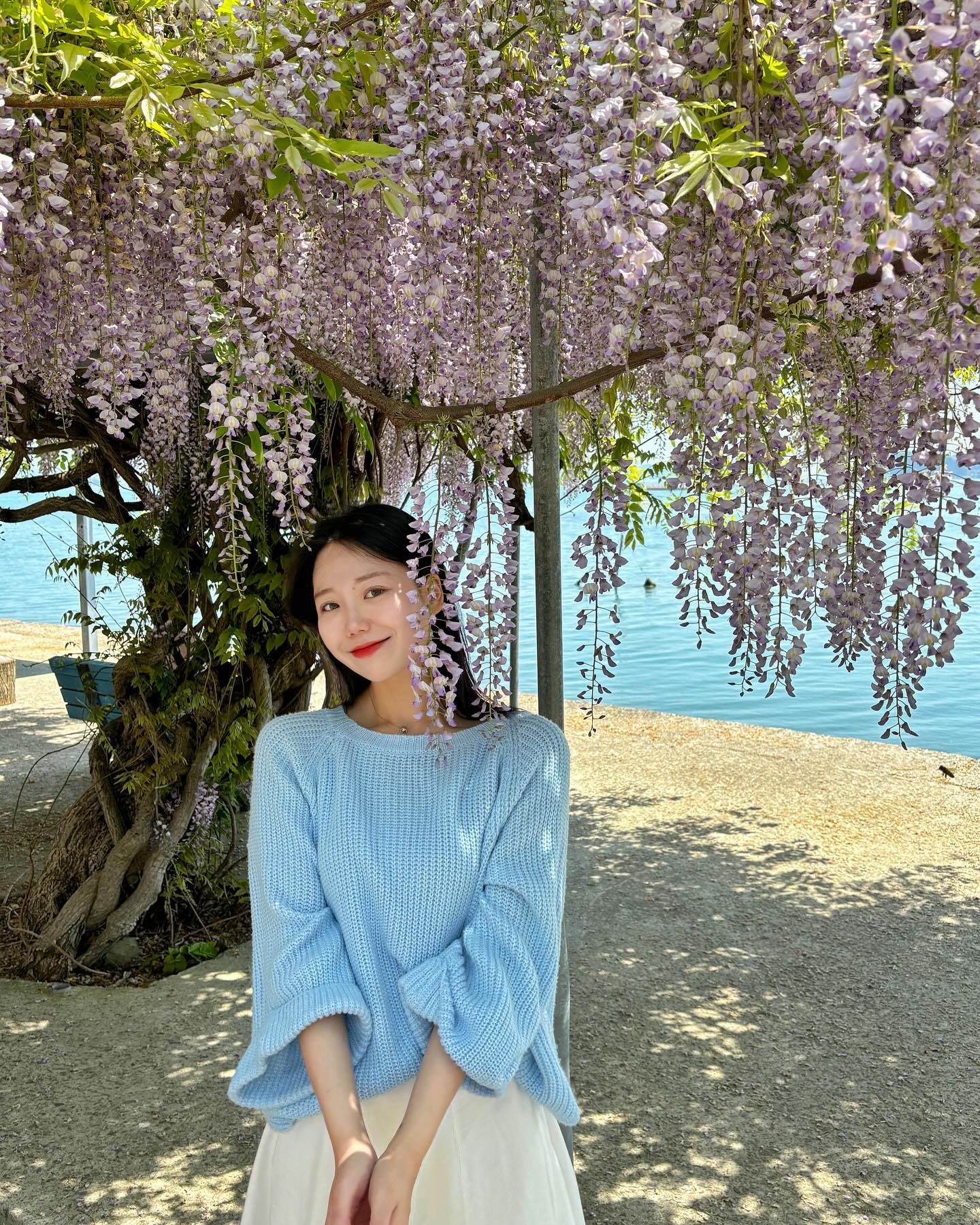 🍇포도송이 같은 #등나무꽃