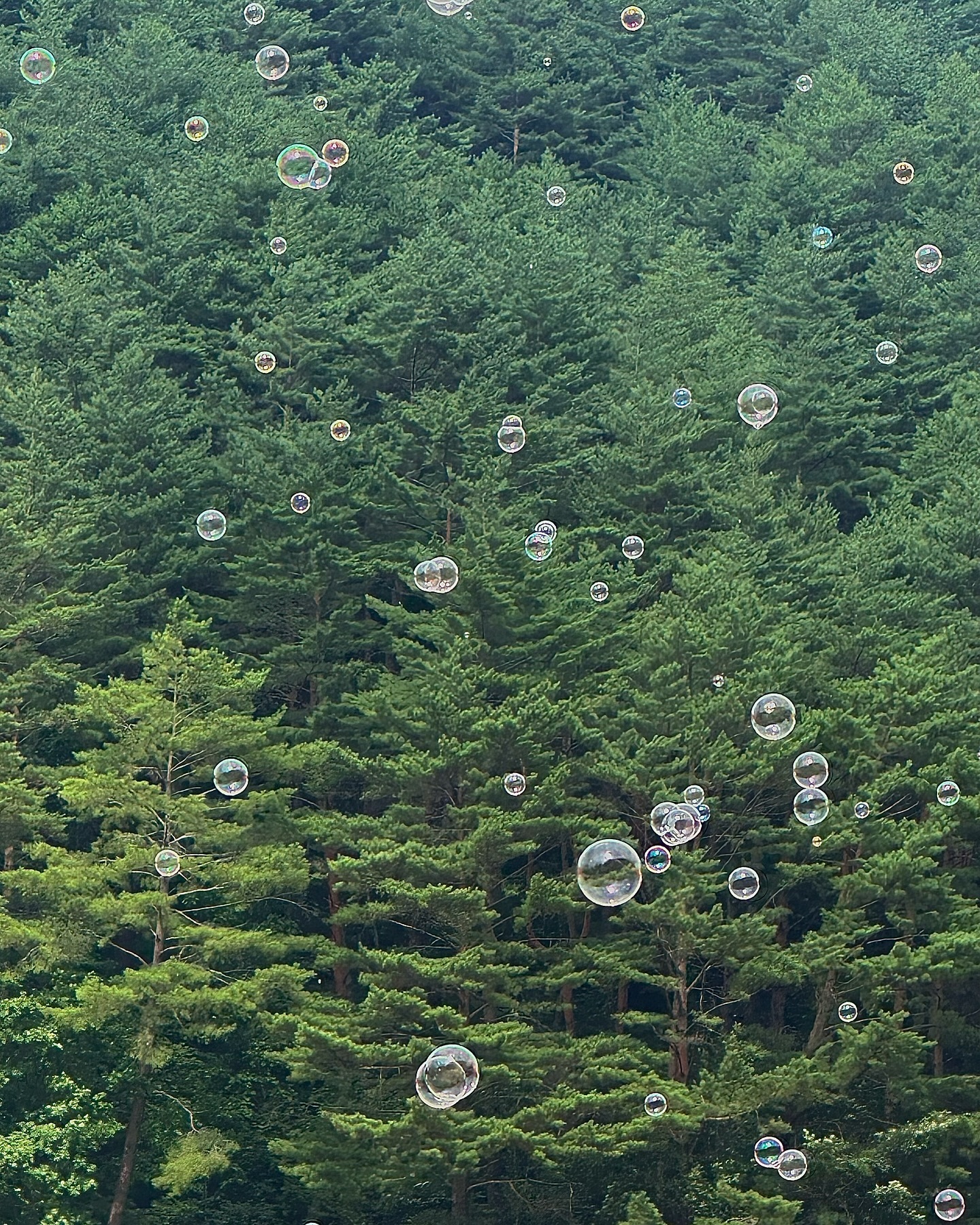 홍천에 가면 〰️