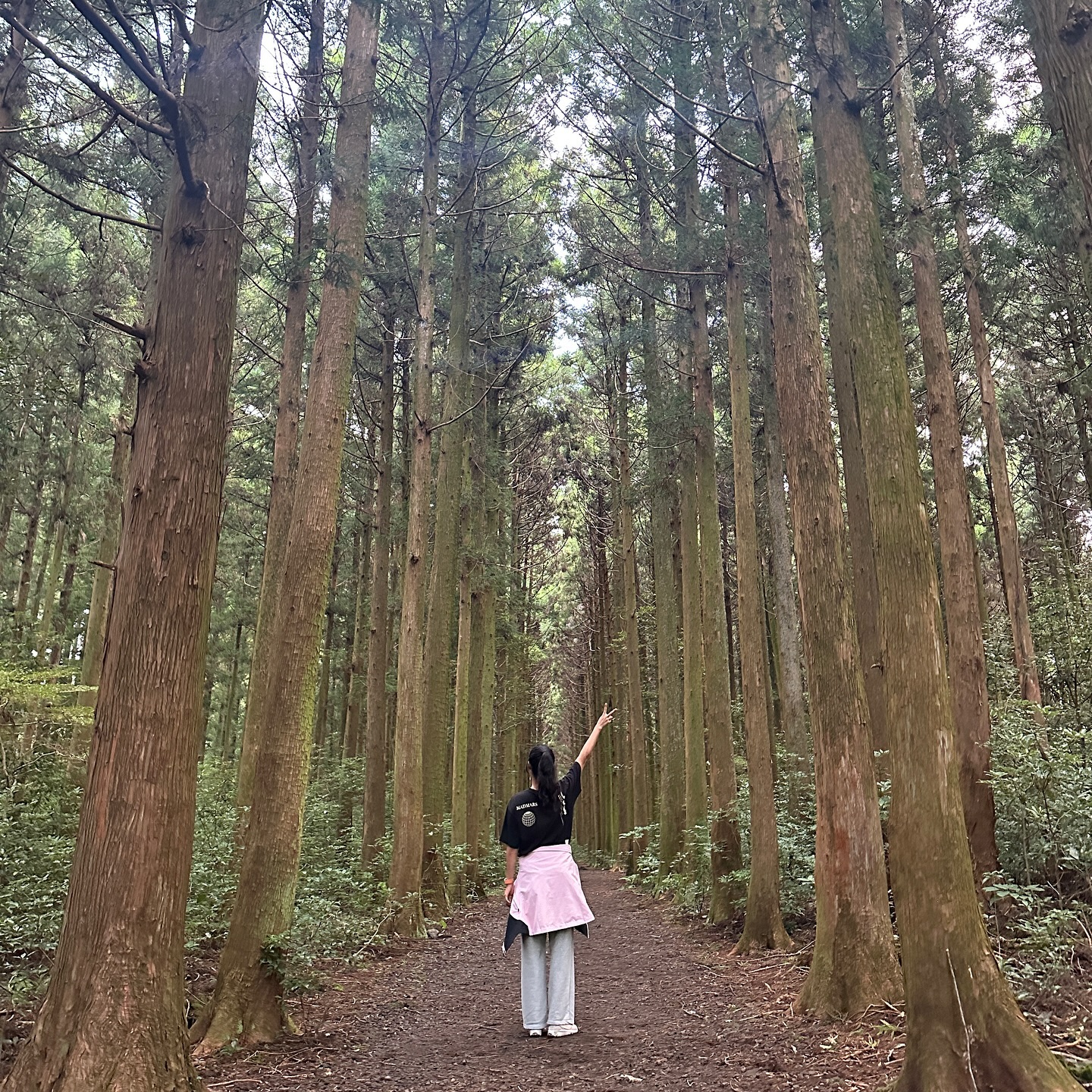 새벽 6시에 모여 제주 여행의 마무리를 지었던 날✨
숲 속을 걸으면서 마음 속에 근심걱정들을
살짝꿍 내려놓을 수 있어 매우 상쾌했다!!!

📍이승이오름(이승악오름)

이른 시간에 갔는데도 오름에 오르는 사라뜰이 몇 있었던 사실!
국내 여행 명소 정보 받고싶다면 팔로우🩷

truthsejin 
truthsejin 

#제주여행 #제주도오름 #제주오름 #추천
