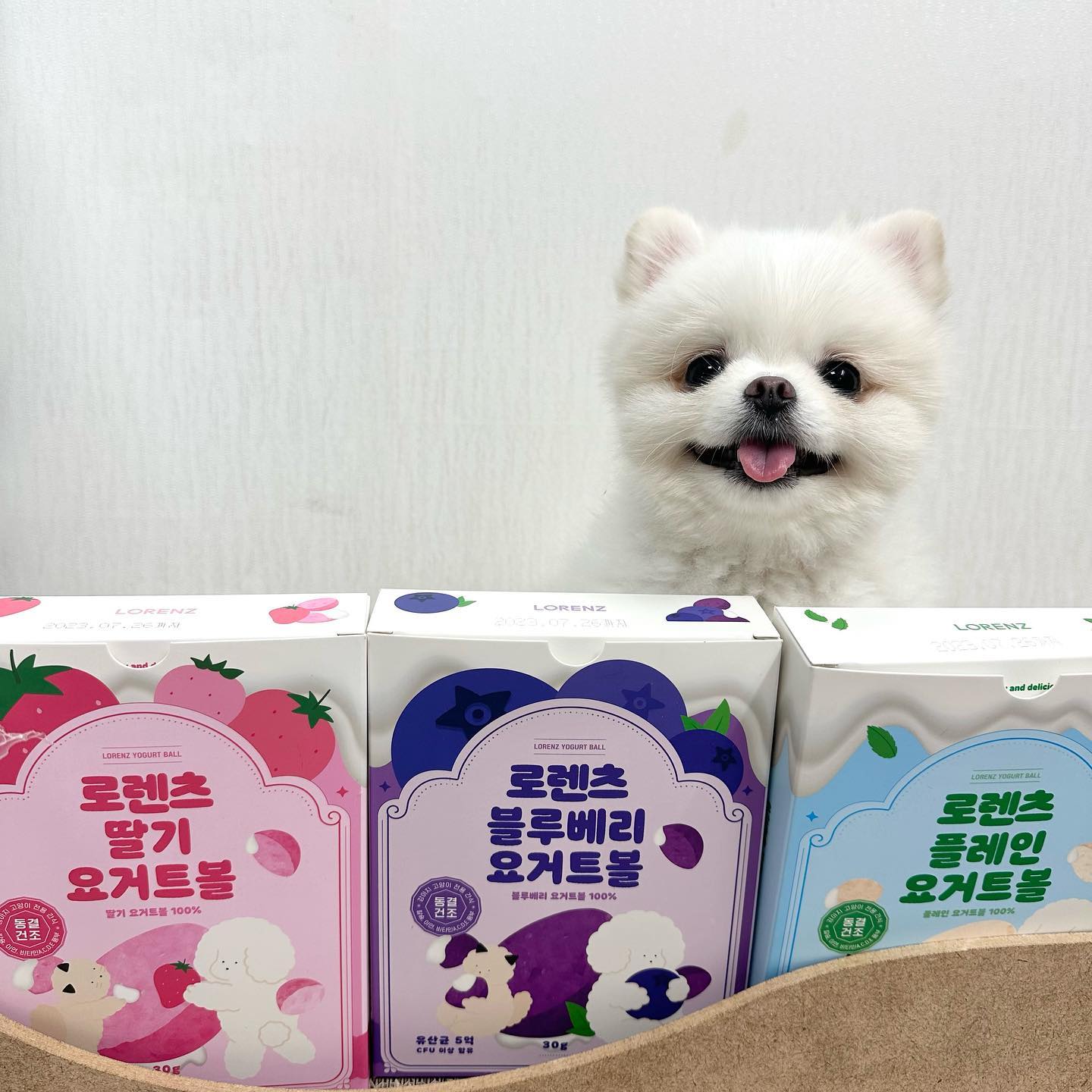 #협찬 #제품제공
오랜만에 게시물로 근황 올려보네요 🥹
이번에 사둥이네가 로렌츠 요거볼 3종 서포터즈에 선정되었어요!
이 기회로 로렌츠 브랜드의 간식은 처음 먹여보게 되었답니다

저는 애들 유산균을 필수로 급여하는데
유산균 간식인 로렌츠 요거트볼을 급여해보게 되었습니당〰️

매번 사료 위에 뿌려주는 가루 타입 먹이다가
이렇게 간식처럼 먹는 유산균이라니
아이들이 완전 좋아하네요 🫶🏻

뜯자마자 단내가 폴폴 나고
입맛 까다로운 냥님도 냠냠 😻

강아지 고양이 둘 다 급여 가능해서
다둥이네는 더욱 굳굳 👏

네마리 다 동결건조 간식을 좋아하다보니
기호성은 매우 좋았어요 😽

첫째 두부의 음수량 증진을 위해 물에도 섞어줘봤는데
잘 먹어주니 다 먹으면 내돈내산 해야겠어요 ❤️

🍡 로렌츠 요거트볼
✔️ 유산균 5억 마리 이상 함유
✔️ 유기농 원료를 사용한 유산균 간식
✔️ 사람도 같이 먹을 수 있으며 입안에서 사르르 녹는 제형
✔️ 물에 섞어서 주면 음수량을 늘릴 수 있어요

🍼 플레인
칼슘이 가장 많아 관절 건강 UP

🍓 딸기
비타민이 함유되어 비타민 섭취에 도움

🫐 블루베리
눈 건강, 항산화에 도움을 주어 노화 방지
 
 
 
🎀 lorenz_companimal
 
 
 
#로렌츠 #로렌츠요거볼 #강아지유산균간식 #고양이유산균간식 #강아지유산균 #고양이유산균 #강아지간식 #고양이간식