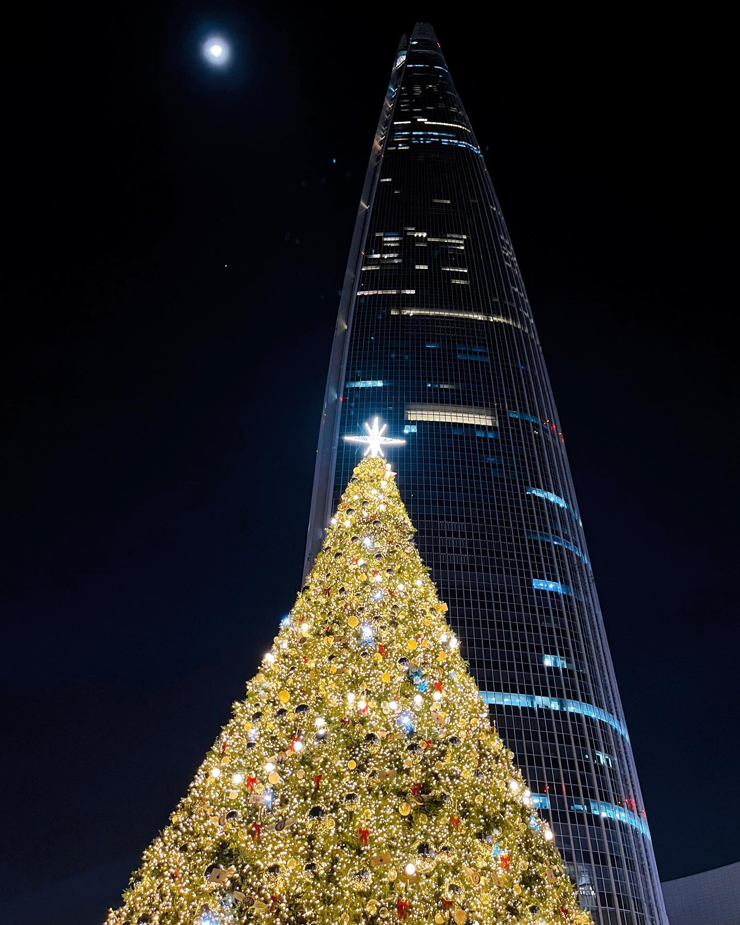 🎄✨