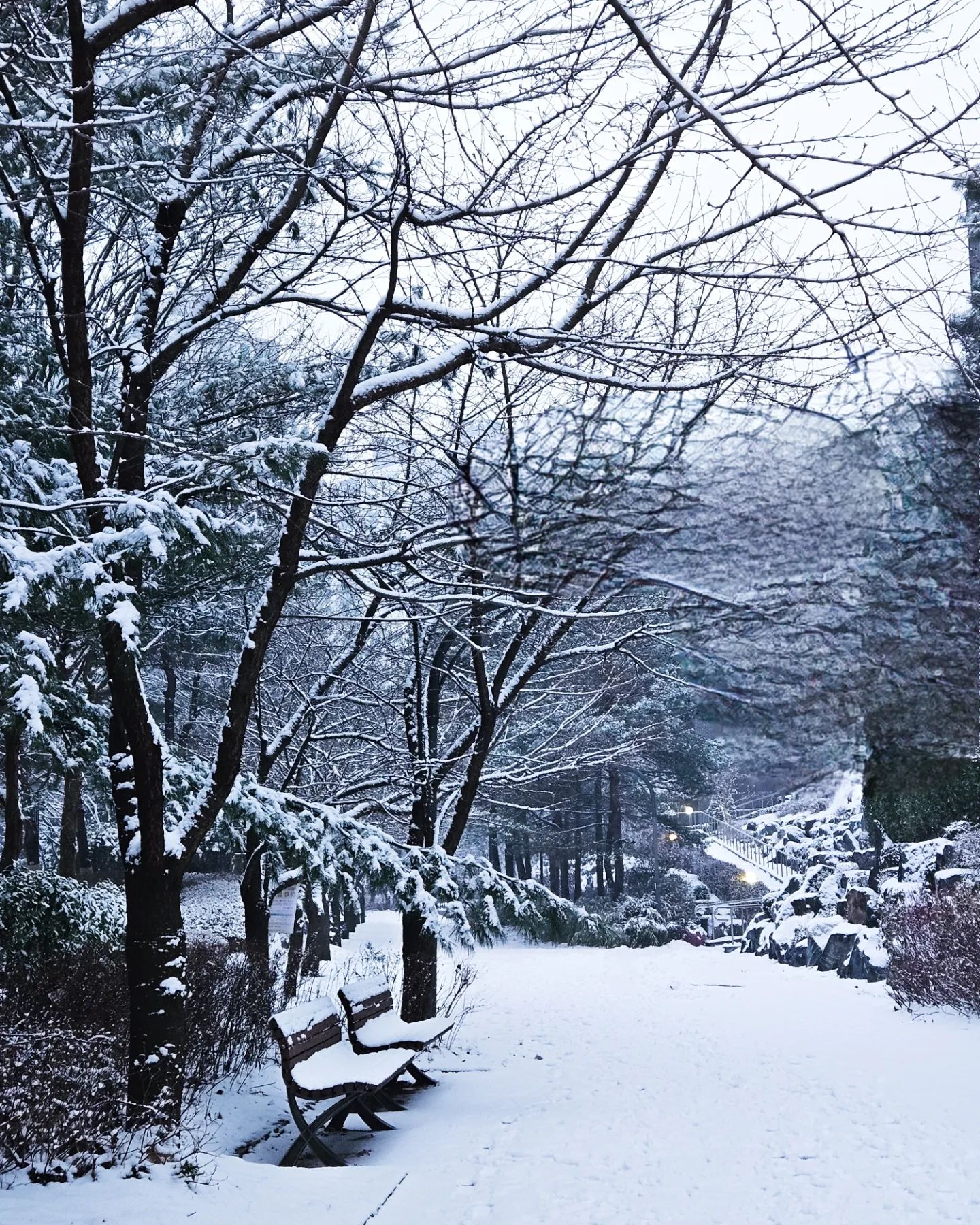 일하고 나오니까 온세상이 하얘☃️
잘하든 못하든 요즘 사진찍는 거 넘 재밌음📷
연어회귀마냥 리코로 돌아옴
조깅도 다시 좋아짐🏃‍♀️
일도 다시 재밌어짐🫡
하는 것마다 다 재밌고 좋고 그렇다!❣️