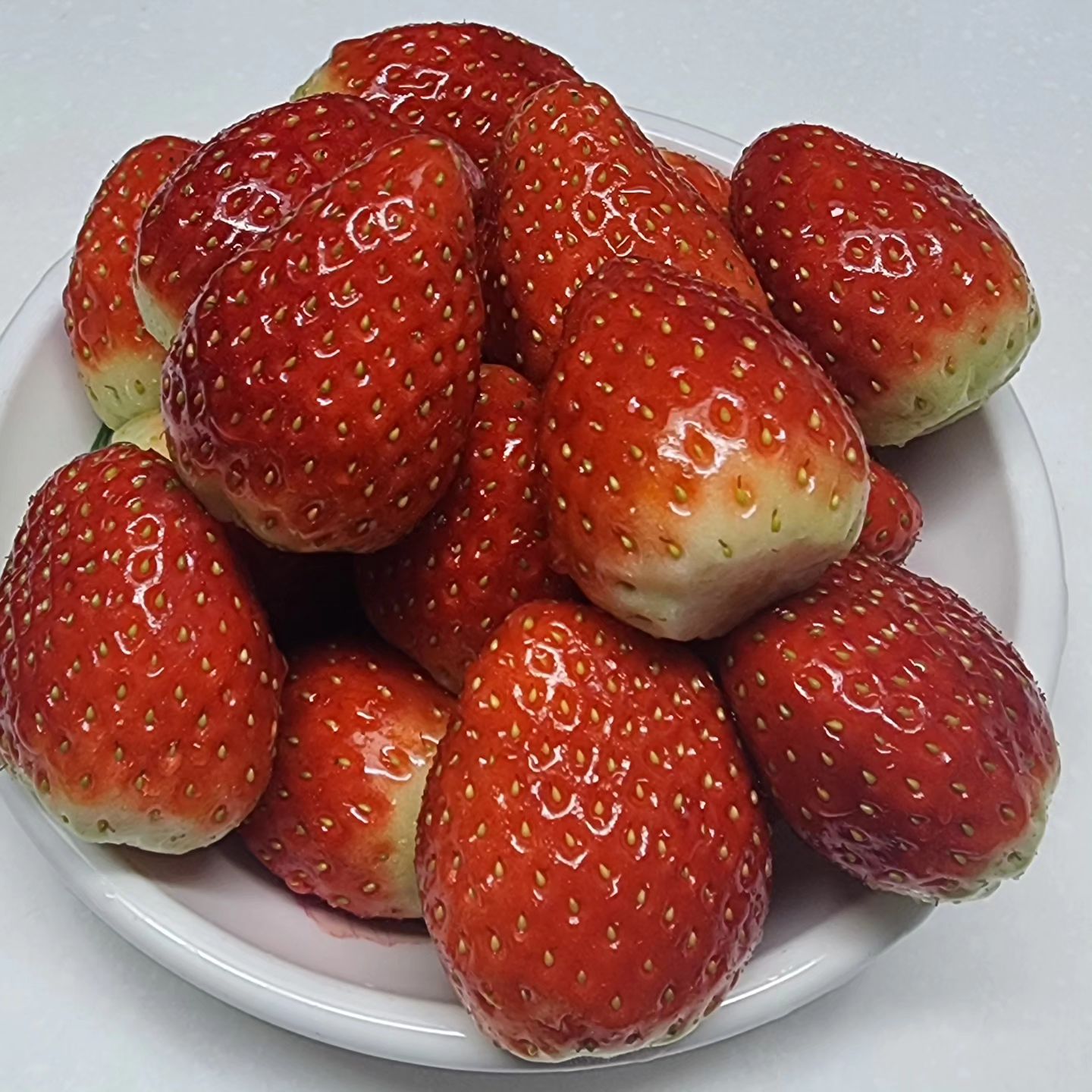 🍓🍓🍓🍓🍓🍓
올 겨울 첫 딸기
비싼만큼 맛있다 맛있어😋
#딸기
.
#첫딸기#겨울과일#strawberry#내돈내산#좋아요#좋아요환영#좋아요추천#좋아요그램#좋아요반사#좋반#맛집#선팔#맞팔#선팔맞팔#먹팔#먹팔해요#먹팔환영#먹팔러#먹팔스타그램#맞팔해요#맞팔환영#맞팔스타그램#맞팔러#맞팔러환영#식탐여왕화들짝
