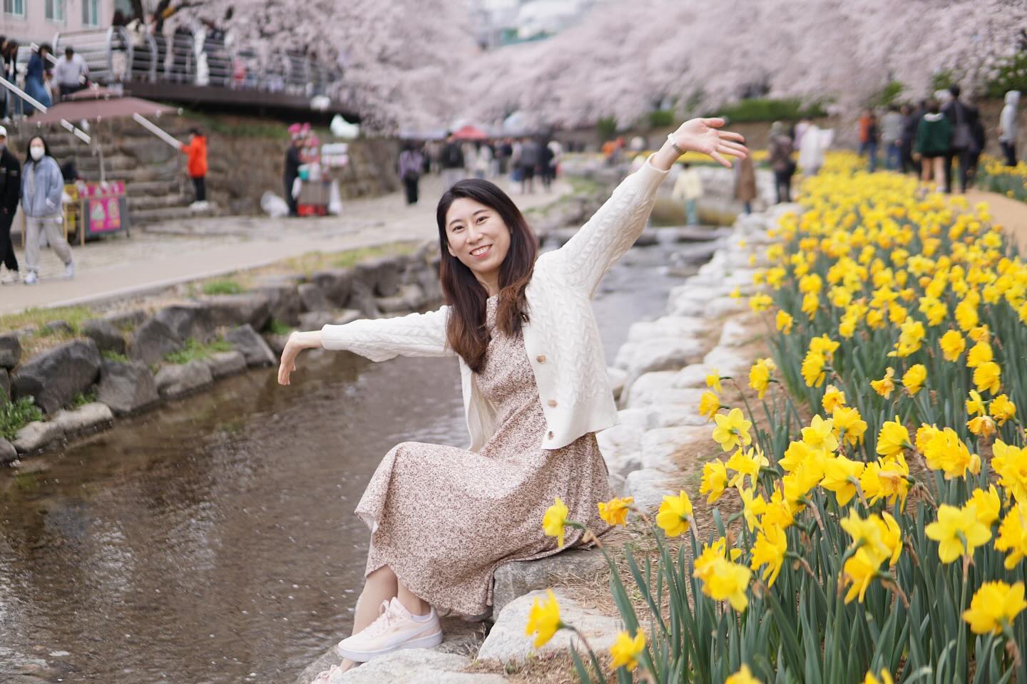 🌸
때가 오고 있다

#궁거랑 #벚꽃 #궁거랑벚꽃축제 #수선화 #봄꽃