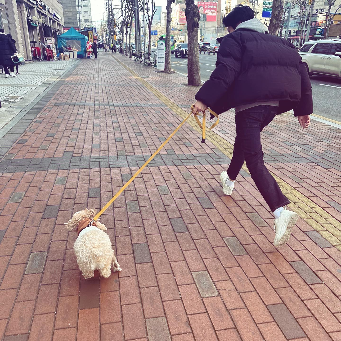 .
제리 신났어용🐾
체력 좋은 그들🏃🏻‍♂️🐶
산책 후 목욕시켜달라며 먼저 화장실로 가는 똑똑이

#산책 #말티푸 #제리 #강아지 #강아지산책 #연휴 #대체공휴일 #펫스타그램 #댕댕이 #멍스타그램 #브리지테일 #화이트닝바디워시 #브라이트닝바디워시 #오염집중케어