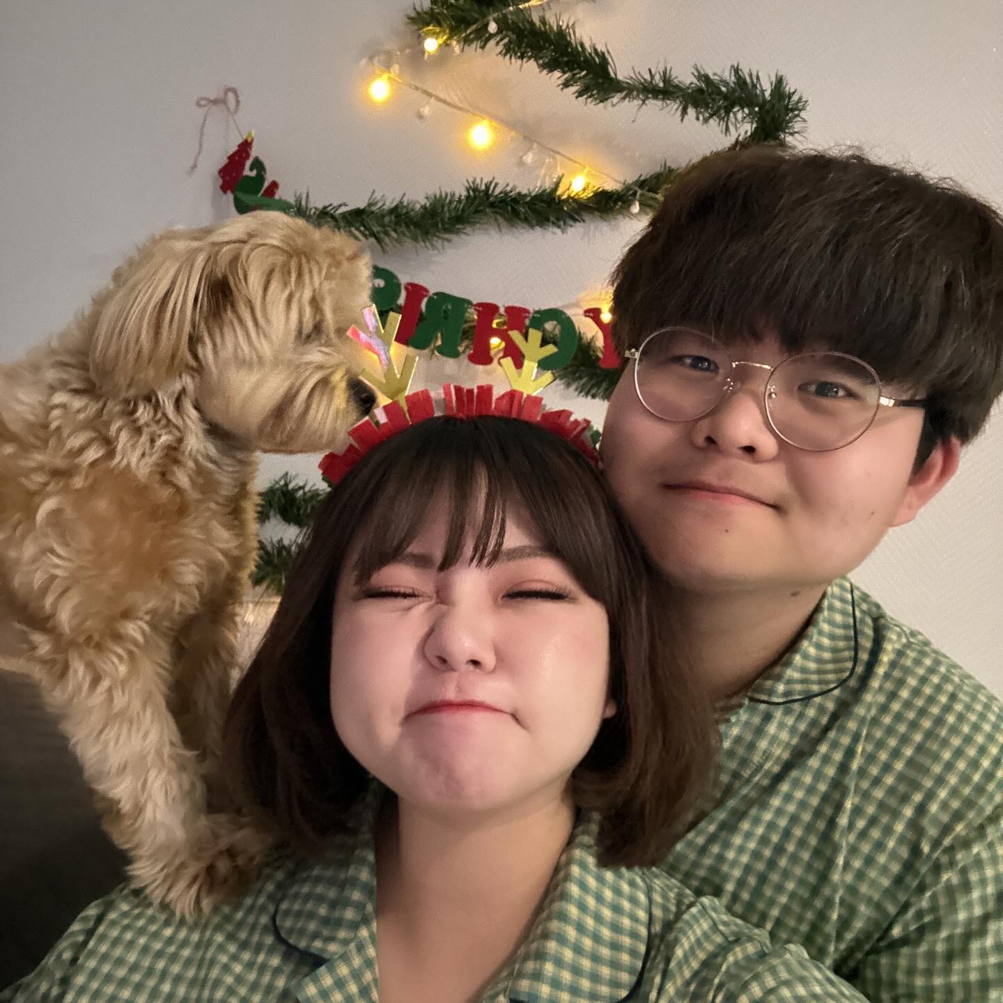 세번째 크리스마스 🎄🌲
( 보리랑 여름이랑은 처음이지만, )

북적북적하고 정신없는 크리스마스였다!!!
케이크를 만들고 손목을 잃었다!!!

( 케이크 두개 만드는건 에바였다!!! )