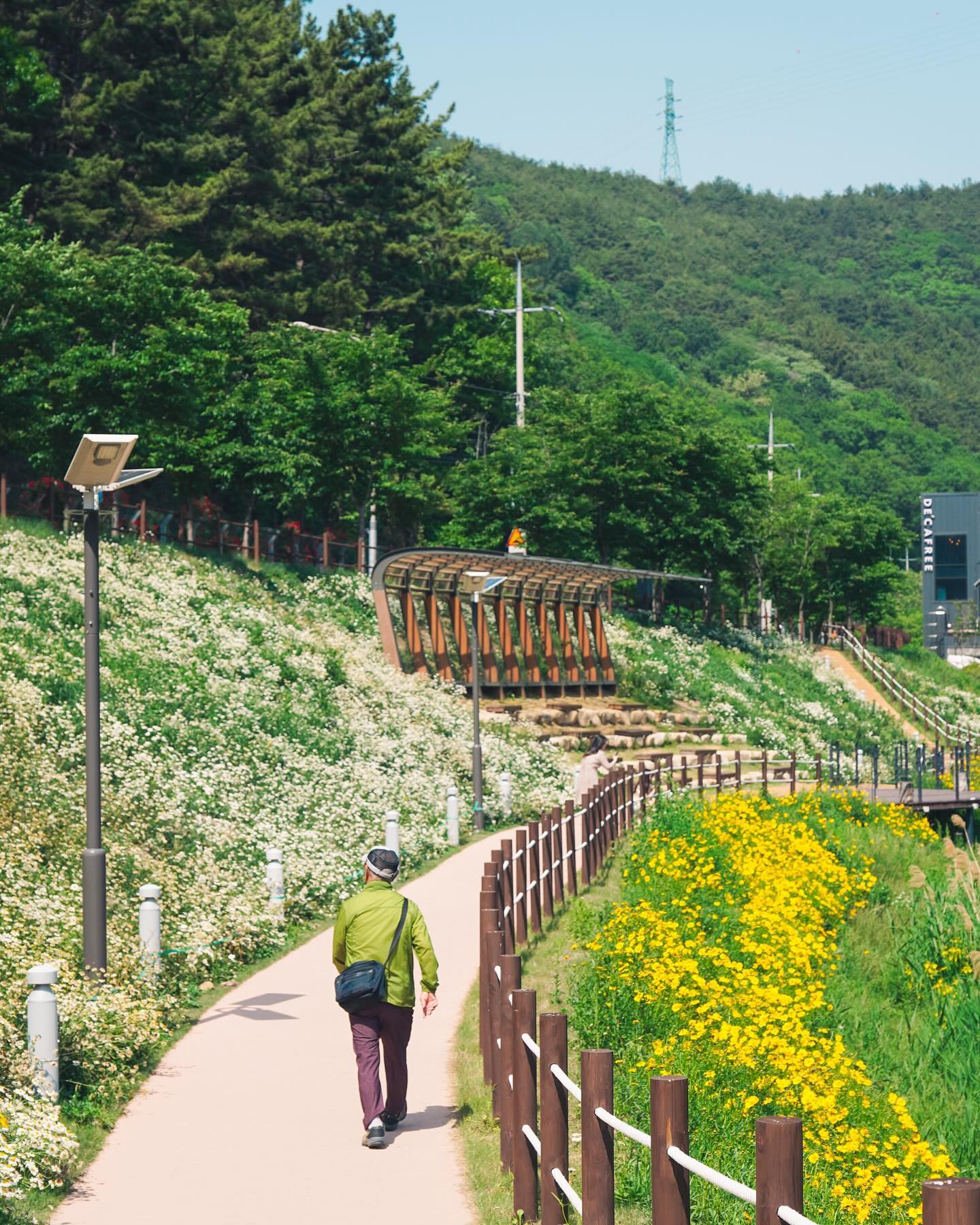 얼른 봄이 오기를 바라는 마음으로💐
작년 5월에 이 사진을 찍으러 가서
꽃이 듬성듬성 있다고 투덜거렸던 기억이 있네요.
추운 계절에 보니 그저 예쁘기만 한 풍경인데!