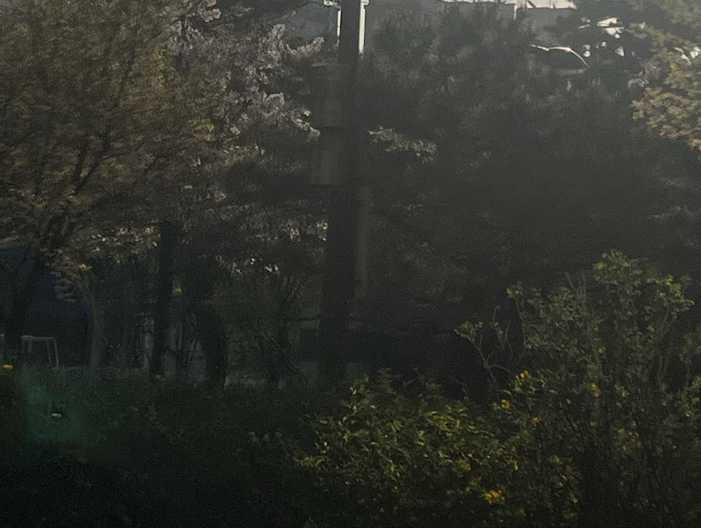 ㅈ ㅔ일 좋아ㅎ ㅏ는 완벽한 초록