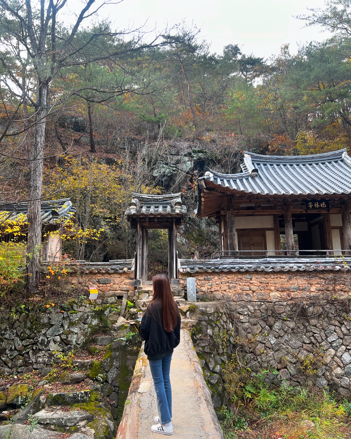 5분정도 등산하면 볼 수 있는 만휴정
미스터션샤인의 촬영지라서 설레는 마음으로 갔는데
이쁘긴한데 단풍이 덜 물들어서 그런지 조금 실망..
아쉽지만 다음번에 다시 오기로🤣⠀
⠀
⠀
⠀
⠀
#안동 #안동여행 #안동가볼만한곳 #안동핫플 #만휴정 #미스터션샤인
