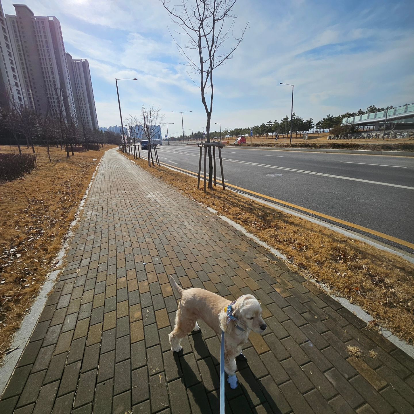 🔹️my home

서울동생.지융친구들 울집에  초대하는날❤️

날씨가 너무 안좋아서..
속상하지만
그래도 몇년만에 파자마 파티인가...

🥹
울동네에서 너희와 내가 자주가던 술집에서
술도 잘 못마시는 너희랑 한잔기울이니..
너무 찡하다~

울애들 넷두 아침에 일어나 자는모습보니..
언제  꼬맹이들이 이리 컸지?
😭

우리 오래오래가자❤️

#파자마파티 #예비중딩파자마파티
#졸업파티 #중딩언니들
#홈파티 #주부일상
#우정