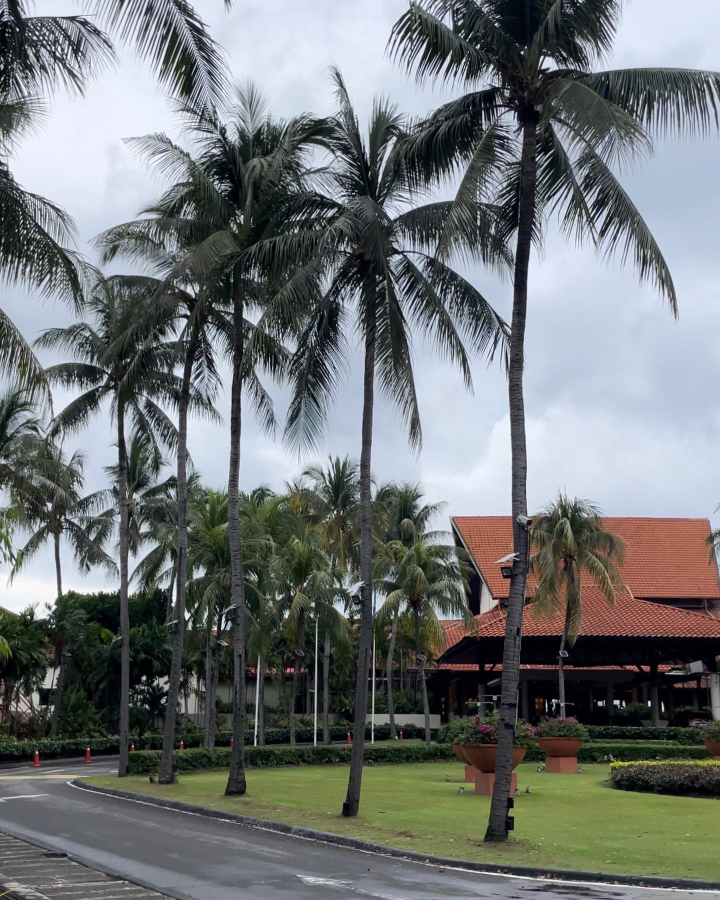 코타 분위기 🌴