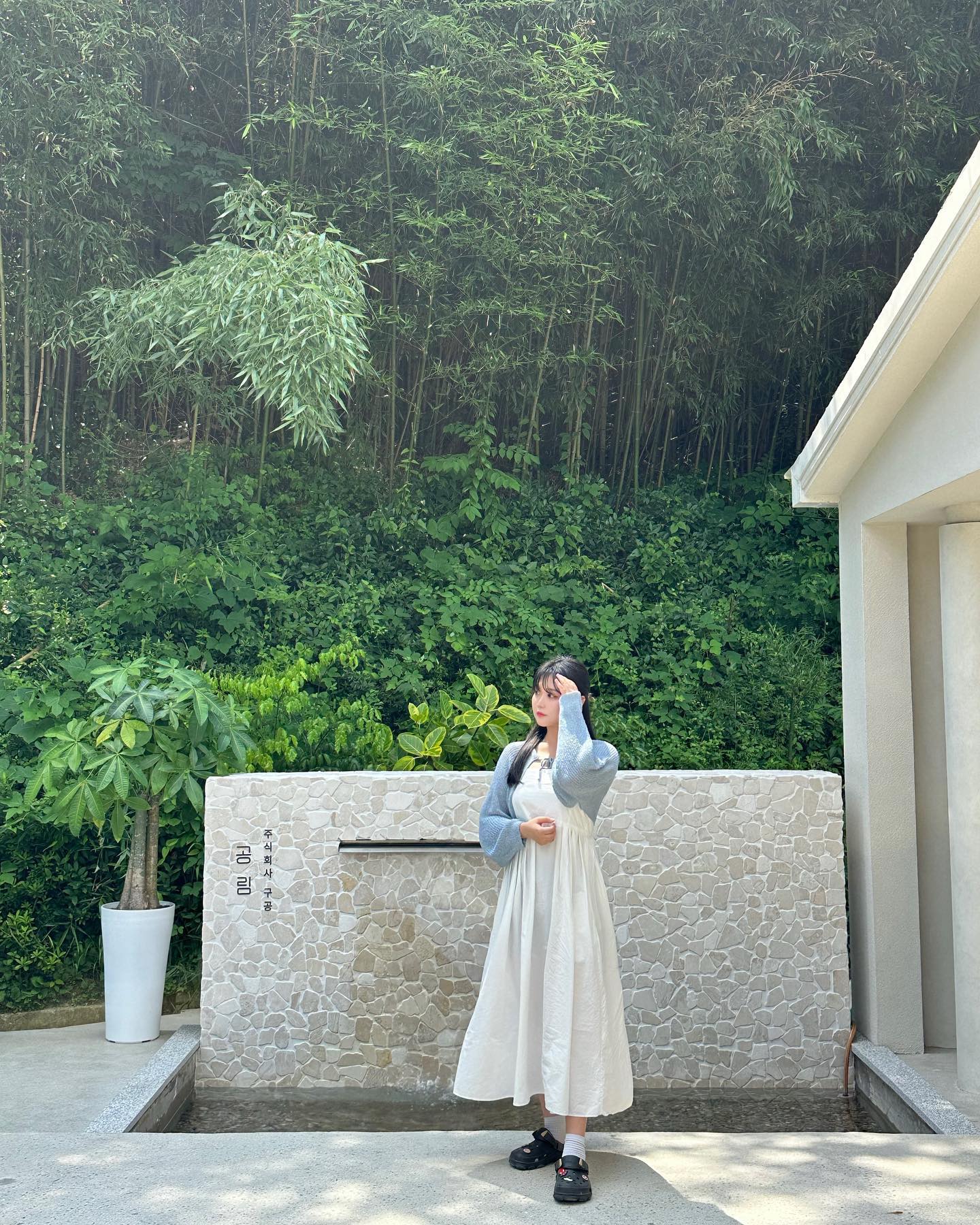 #공림 🌿