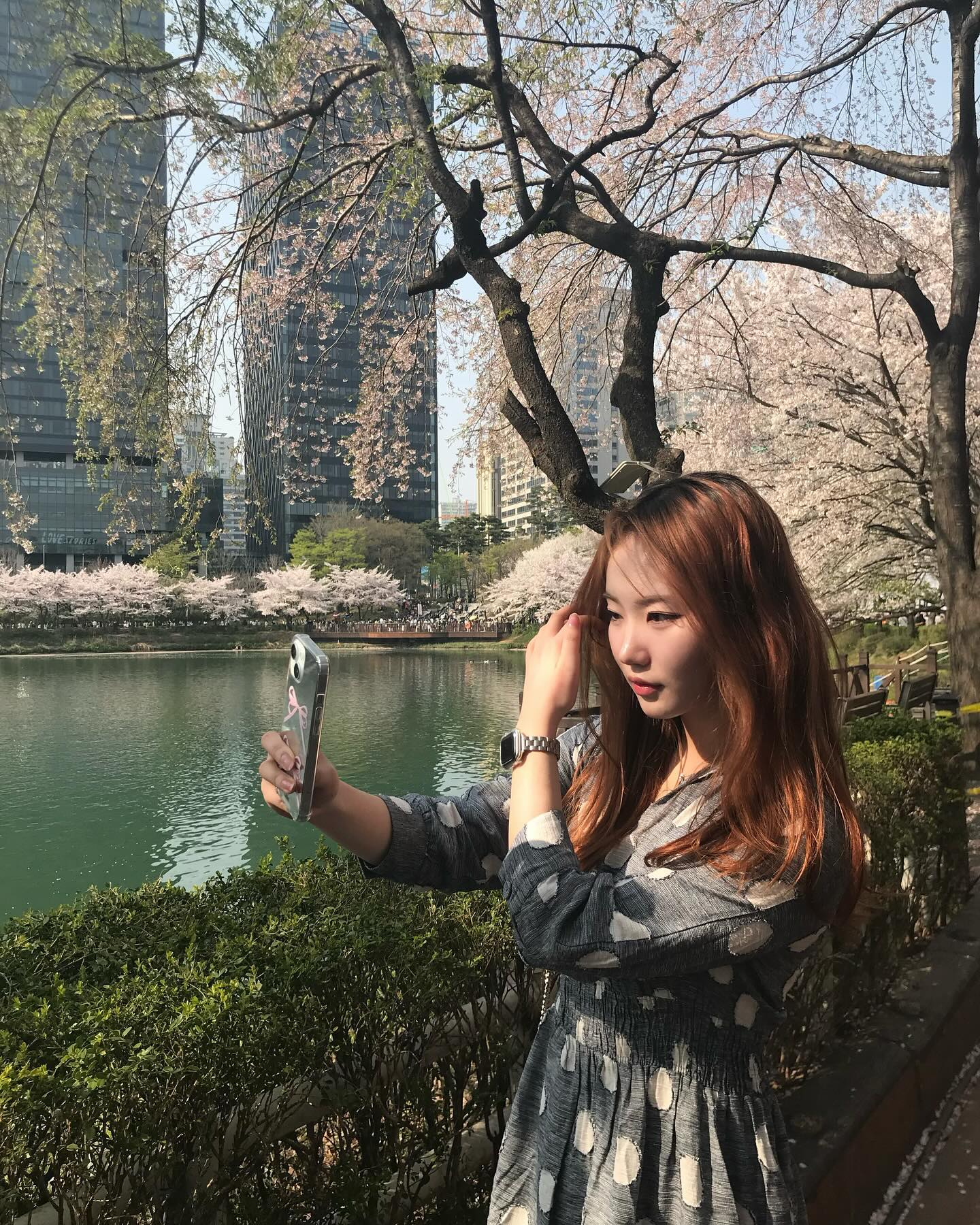 콘텐츠