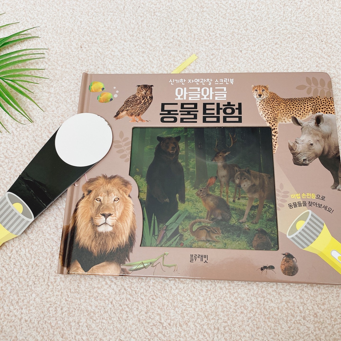 *
블루래빗 생생자연관찰
와글와글 동물탐험💡
매직 손전등으로 이리저리 비춰보며
숨은그림찾기도 하고, 동물의 특징도
자세히 읽어볼 수 있는 자연관찰책📚

엄마한테 이거저거 비춰보라고 가리키다가
스스로 손전등도 비춰보고
보는내내 우와~ 감탄사 연발하던 소떡이👶🏻

야생동물, 초원동물, 바다동물, 곤충까지
4페이지로 구성되어있는 보드북&조작북이에요.
본책 60권 + 워크북 60권에
콕콕찍어 들으면 재밌는 소리가 나는
블루래빗 시그니처 토끼펜에 
신기하고 다양한 부록까지👍🏻
두돌아기 자연관찰 책으로 부족함이 없는 블루래빗❤️

🏷️ thanks to bluerabbit_official_korea 

#육아 #일상 #육아일상 #책육아 #아기전집 #유아전집 #블루래빗 #블루래빗자연관찰 #자연관찰 #생생자연관찰
#협찬이지만솔직후기❤️