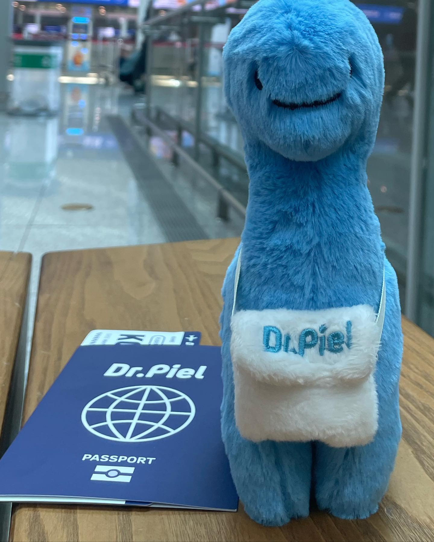 피엘이와 함께 떠난 다낭여행✈️

-
여행용 필터 덕분에 
다낭에서도 물걱정없이 다녀왔어요🥹🫶
-
곧 보홀가는데 그때도 #닥터피엘샤워기필터 #필수 #🩵 
-
#닥터피엘 #피엘로그 #닥터피엘로그 #다낭여행 #여행용필터