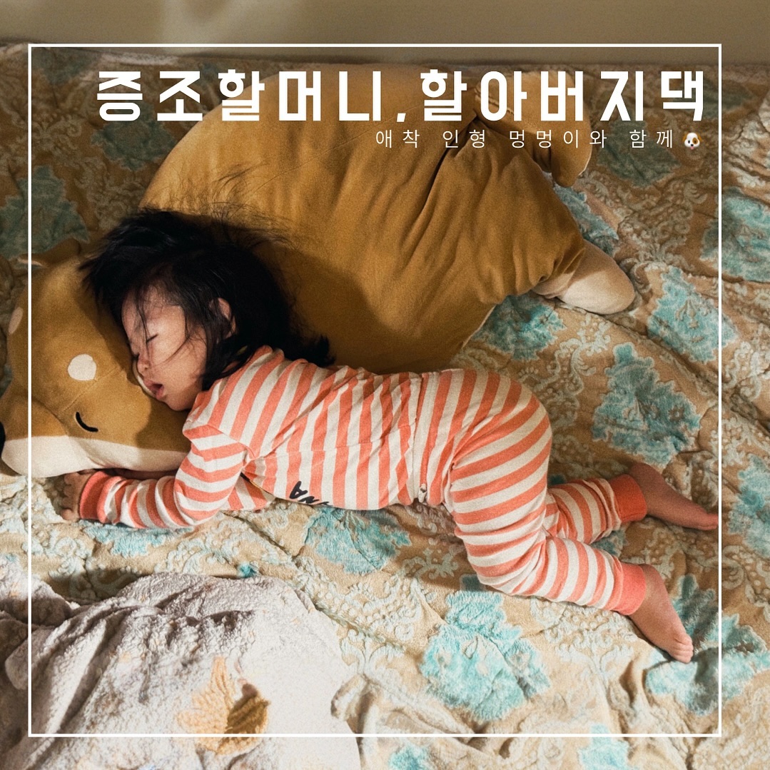 증조할미할비댁에서 딥슬립 중 #2박3일 잘 지냈다🫶🏻
🏡 at her great-grandparents’ house

#증조부모님댁 #증조할머니 #증조할아버지 #증손주 
#똥강아지 #육아 #육아일상 #13개월아기 #가족스타그램 #꿀잠 #인스타베이비 #세젤귀 #귀요미 #딸스타그램