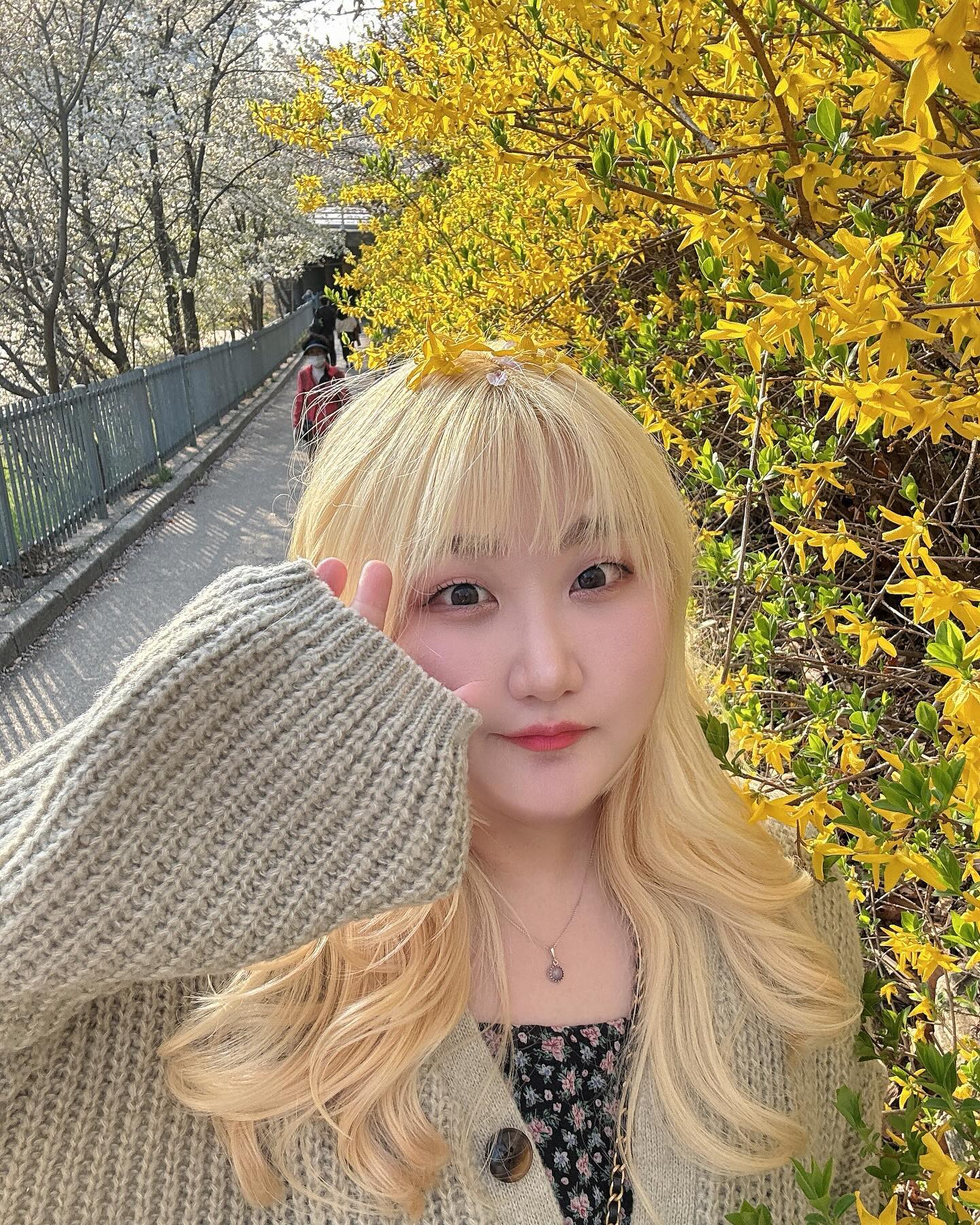 🌸🌼🌸🌼🌸🌼🌸🌼🌸
.
.
.
.
.
.
#벚꽃#꽃놀이#벚꽃놀이 #개나리#셀카 #셀스타그램