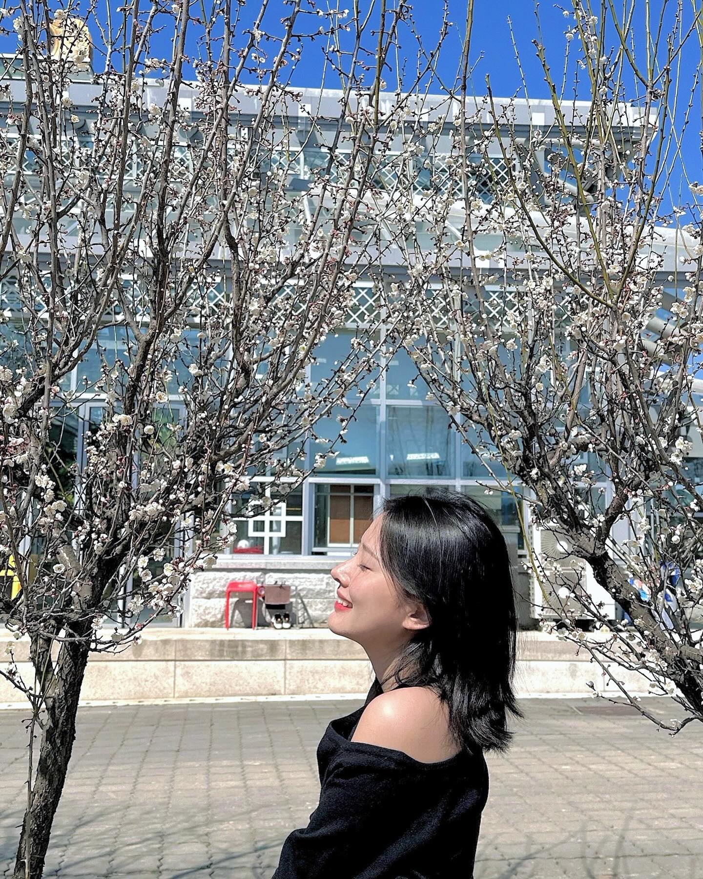 일찍 찾아간 봄 .. 그런데 이제 쥑이는 일교차를 곁들인