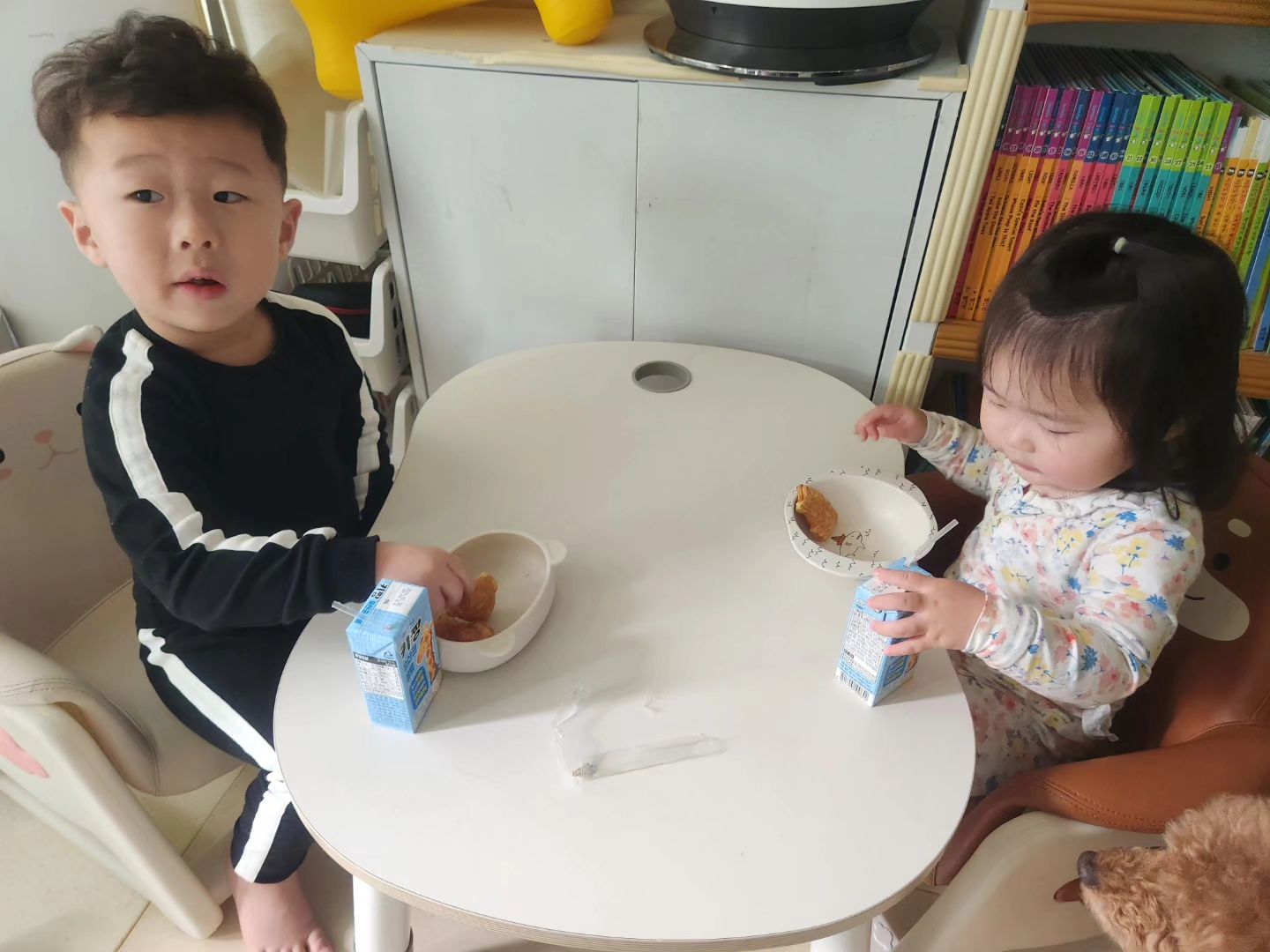우리 찬슬이 주말동안 열이 잡히고, 컨디션두 괜찮았어서
붕어빵도 에프로 해주고, 우리 블럭도 가지고 잘 놀았자나?
그런데...왜..일욜저녁.. 이번엔 두명다 열이......나는건데😱 
해솔이까지 아프고, 번갈아가며 열이나서 잠을 잔건지 안잔건지..

월욜은 일도 바쁜데ㅜㅜ..망.......,,🥲 눈앞이 깜깜..
이놈의 신랑은 때마침 지방출장이라네..하......😮‍💨

다행히도 친정 부모님이 달려와 주셔서, 애들 병원도 데리고 다녀오시고,
일하는동안 애들하고 놀아주셔서 버틸 수 이었다고🥺🥺

일주일동안 찬슬이가 아팠어서, 새벽에 잠을 거의 못잤고..
칭얼대고 안아달라는 찬슬이와 오빠만 안지말고 나도 안으라는 해솔이 덕분에 허리가 넘 아픔..ㅜㅜ 

그래두 찬슬이 염증수치는 정상으로 돌아왔고, 폐사진도 많이 괜찮아진 상태라고..나아가는 중이라는 말을 들어서 한시름 놓인다ㅜㅜ
진짜 해솔이까지 계속 고열행진 이라면 그냥 둘 데리고 입원 할 생각까지 했었는데...진짜 다행🥲🥲

아프지좀 마..이노무 시키들아ㅜㅜ
둘다 아플까바 진짜 놀래떠🥲🥲

#감기제발그만
#이정도면
#돌림병