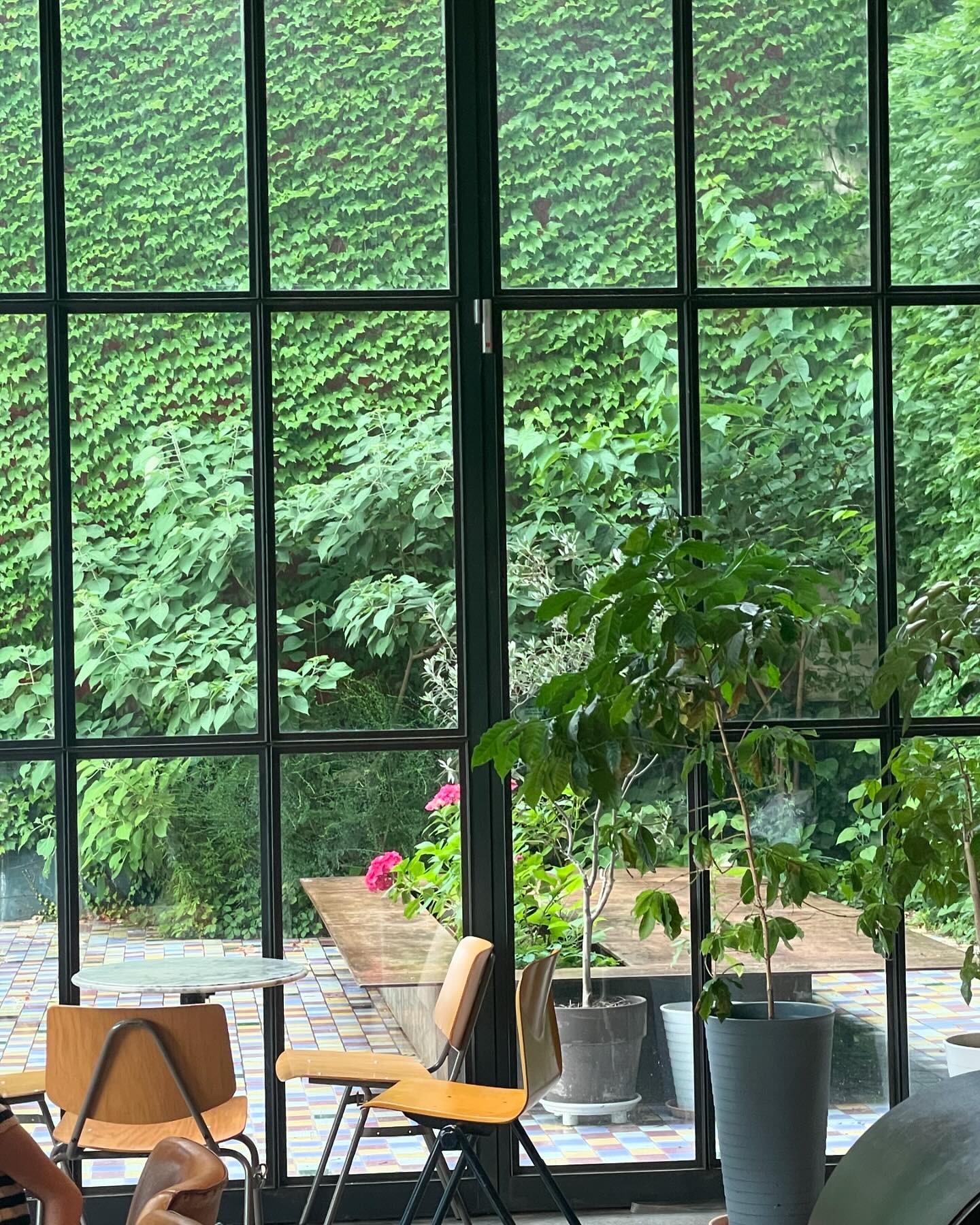 강릉 먹방에 실패했지만 카페 너무나도 성공적 .. 🌱🫧