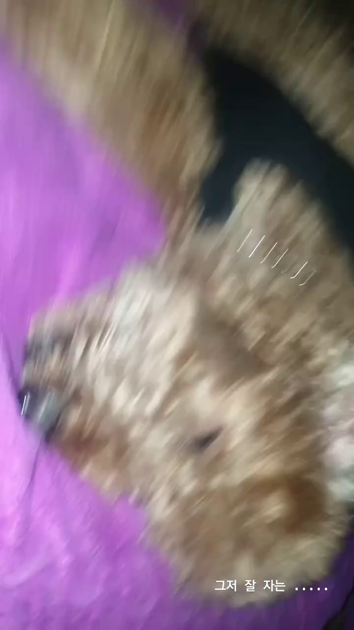 콘텐츠