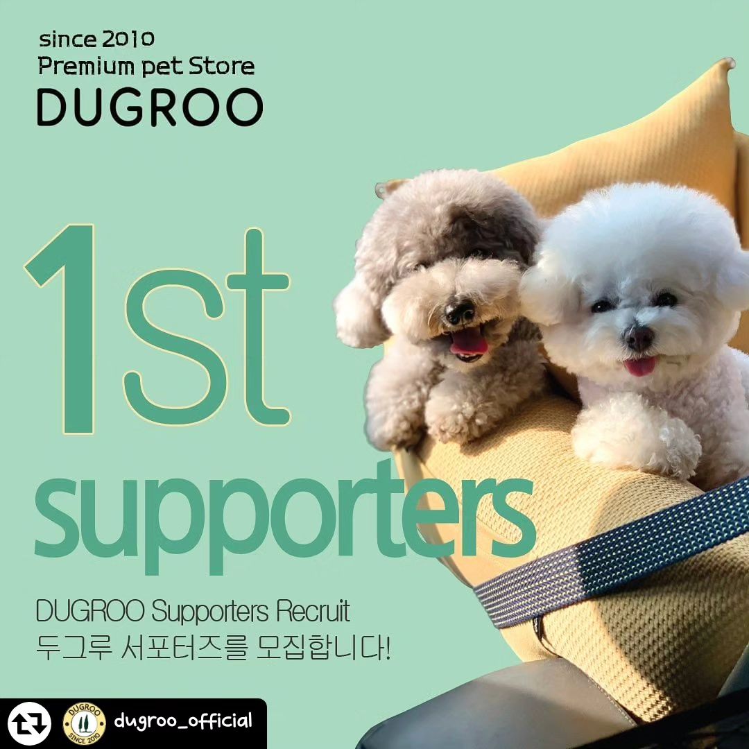 #리그램 - dugroo_official by get_regrammer
✅두그루 서포터즈 모집 리그램이벤트와 함께 진행합니다 👌.
🌳🌳DUGROO Supporters 를 스카웃합니다 👏👏👏 .
안녕하세요! 프리미엄 펫스토어 두그루입니다. 
.
✅두그루의 첫번째 서포터즈와의 특별한 만남🩵 'DUGROO Supporters' 를 모집합니다.
두그루와 서포터즈가 함께하는 특별한 체험~ .
두그루 서포터즈에 대한 자세한 내용은 ✔️[프로필 링크]에서 확인할 수 있습니다.
.
✅두그루 서포터즈란? .
-두그루 서포터즈는 1년간 총 4분기(4기수)로 진행되는 프로젝트입니다. 
-이번 프로젝트는 1기 서포터즈 모집 프로젝트입니다 (기수별 새로운 서포터즈분들을 모집합니다) .
.
✅두그루 서포터즈 프로젝트는 SNS를 활용해 주변에 알리는 활동을 하며, ✔️블로그 활동에도 열정있으신 분들께는 참여 우선권이 주어집니다.
.
✅우수 활동자로 선정된 분들께는 추후 진행되는 ✔️2기 서포터즈 프로젝트에 새로운 제품과 함께 연임될 수 있는 우선권이 주어집니다. ♥
.
✅두그루 서포터즈 모집 상세 내용
- 신청 자격 : 두그루에 대한 애정이 가득한, SNS 활동을 활발히 하고 있는 분이라면 누구나 신청해주세요.
.
✅본 내용을 리그램후 팔로우 해주세요~
- 모집 기간 : 1/15(월) - 1/31(수) .
- 모집 인원 : 모집인원 최대 10명 이내 .
- 선정 발표 : 2/5(월) *개별 연락 - 신청해 주신 모든 분들께 선정 여부를 이메일을 통해 연락 드릴 예정입니다.
- 활동 기간 : 2024년  2월부터 3개월동안, 총 3회(월1회)의 미션(피드&포스팅) 수행 필요 .
.
✅두그루 활동 혜택
- 3개월 활동을 마무리한 서포터즈분들중, 우수 활동자께는 ✔️2기서포터즈(뉴-품목) 연임기회와 함께 소정의🩵선물을 드립니다.
.
DUGROO Supporters 로 활동할 준비가 되셨다면 ✔️상단 프로필 링크를 통해 서포터즈 가입양식을 작성해주세요~ 😊.
.
✅리그램선물 : 5명 다용도블랭킷 (서포터즈 발표일 동시발표) .