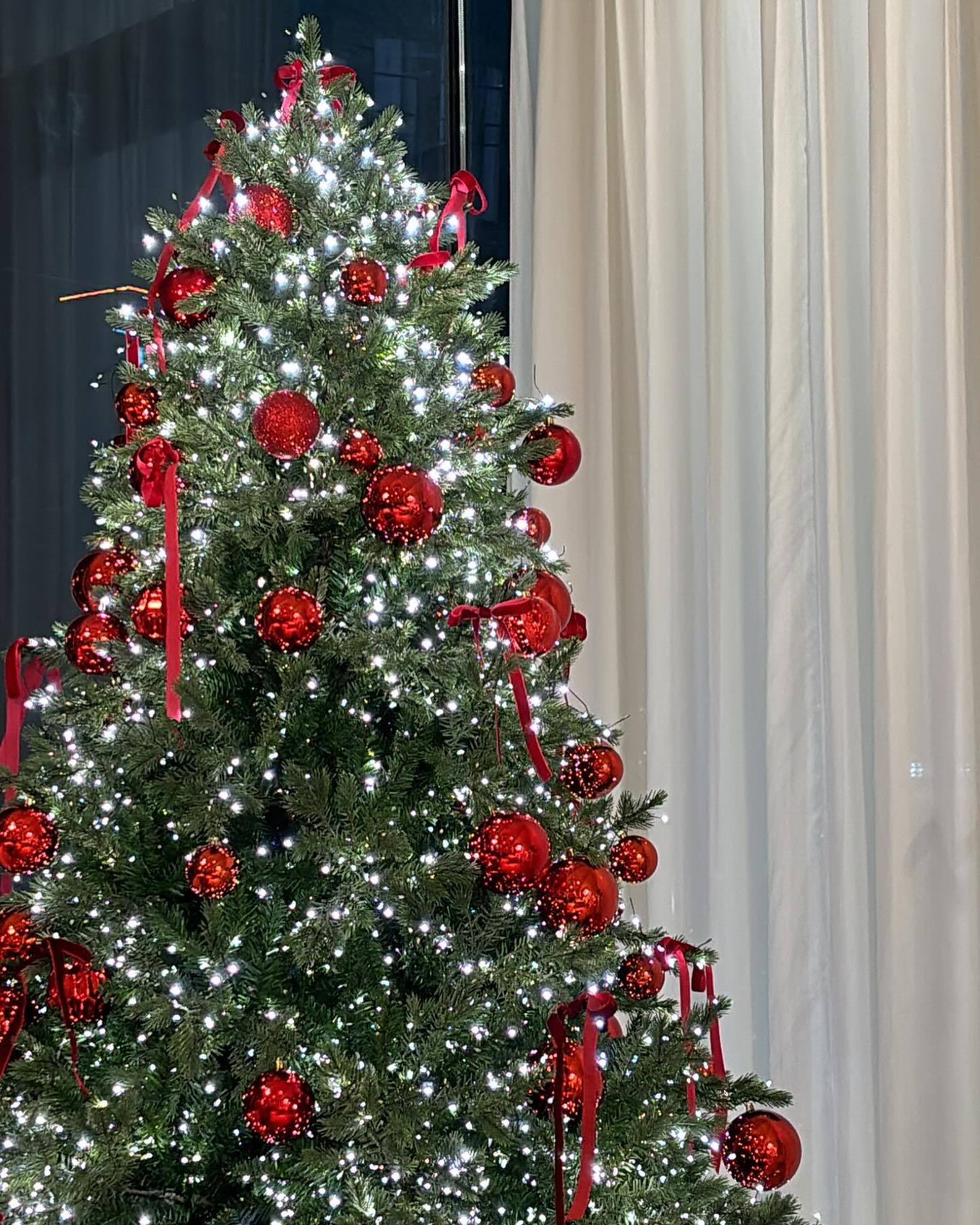 🎅🏼⛄️왕 행복한 크리스마스🎄🎁