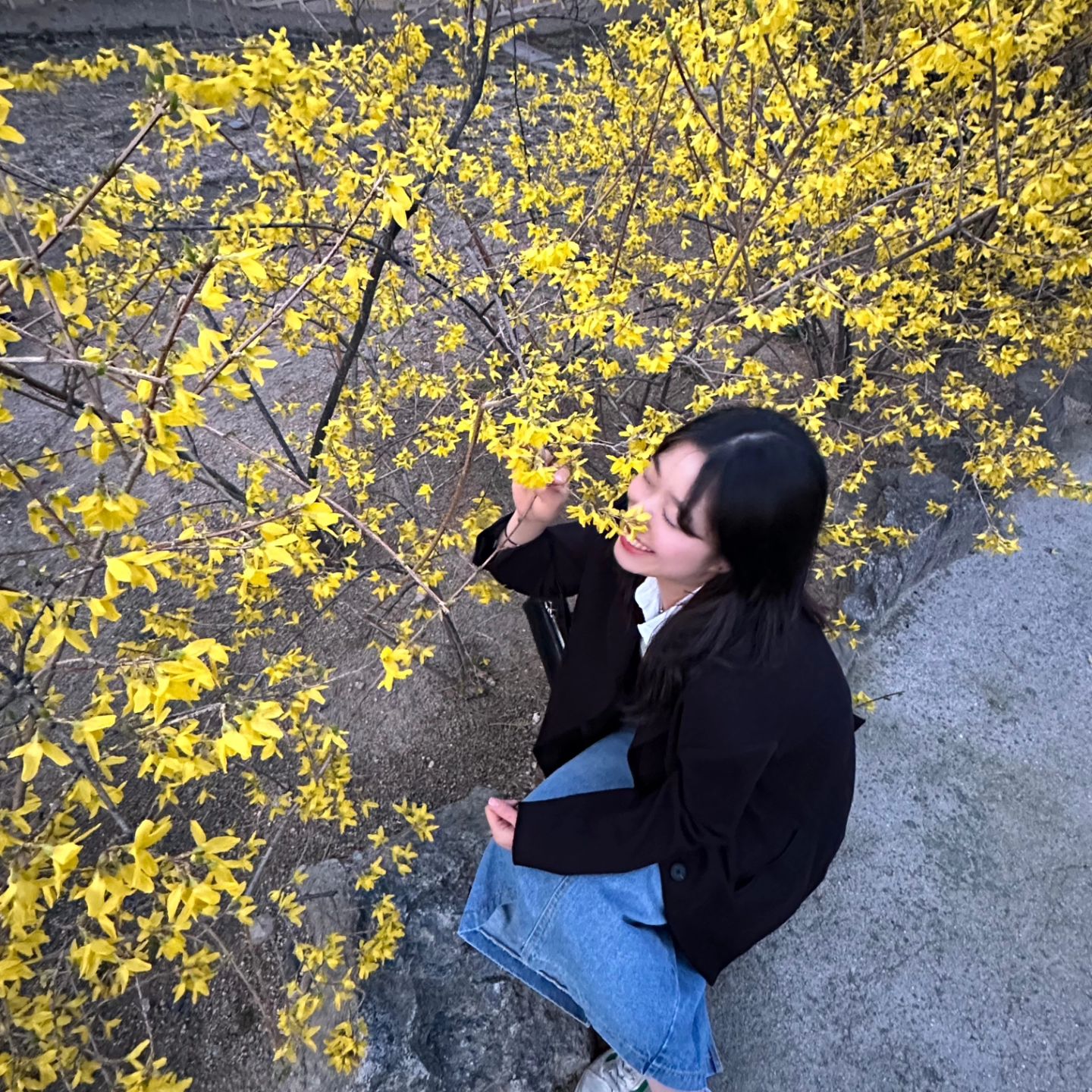 🌸
벚꽃보러 갔는데 보긴봤지만,,

개나리가 예뻤다!

#경복궁 #경복궁벚꽃 #벚꽃 #벚꽃축제 #벚꽃놀이 #경복궁데이트 #경복궁역카페 #꽃스타그램 #데이트 #데이트룩 #종로데이트 #서울데이트코스 #서울데이트 #데이트코스 #종로 #익선동 #창덕궁 #광화문 #청계천