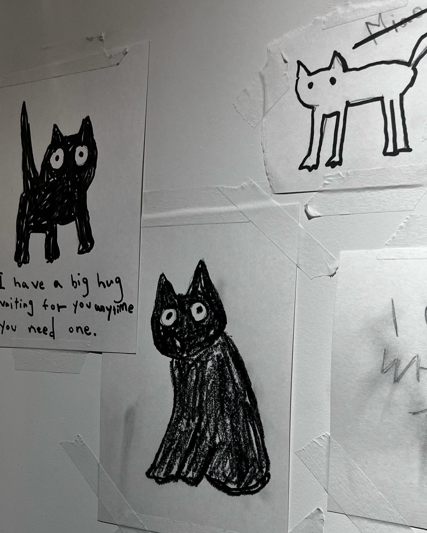 🐈‍⬛