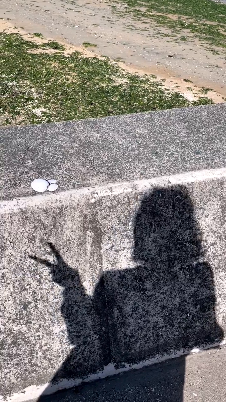 햄보케따✨