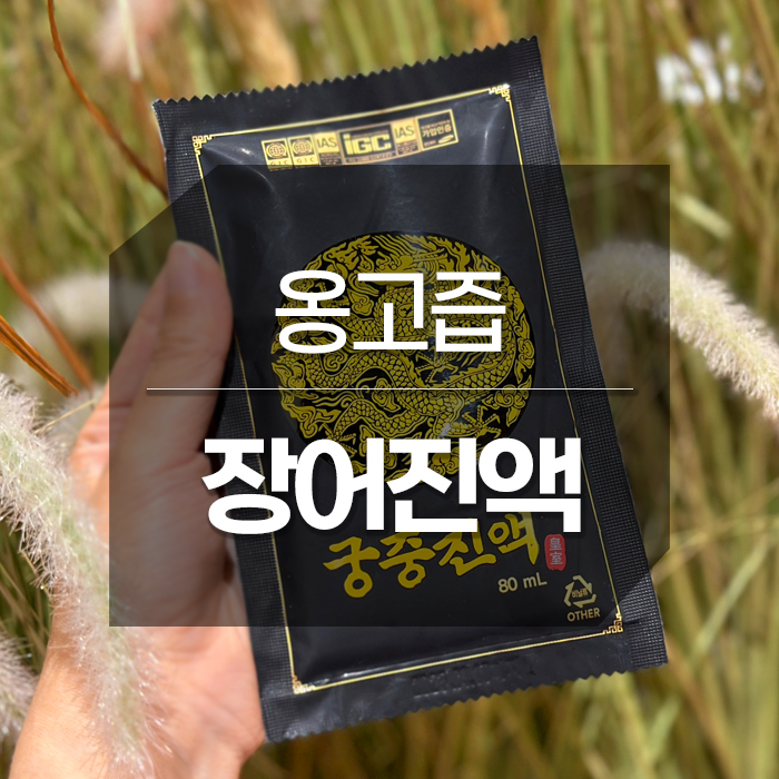 민물장어즙 몸보신 옹고즙 궁중진액 장어즙 추천