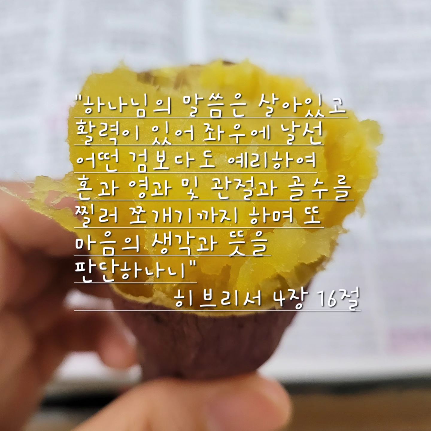 #말씀과꿀고구마

오늘 만난 말씀과
오늘 만난 꿀고구마

"냠냠"

맛있게
꿀꺽!😋
.
.
.
.
#감사
#성경말씀
#꿀고구마
#깨달음